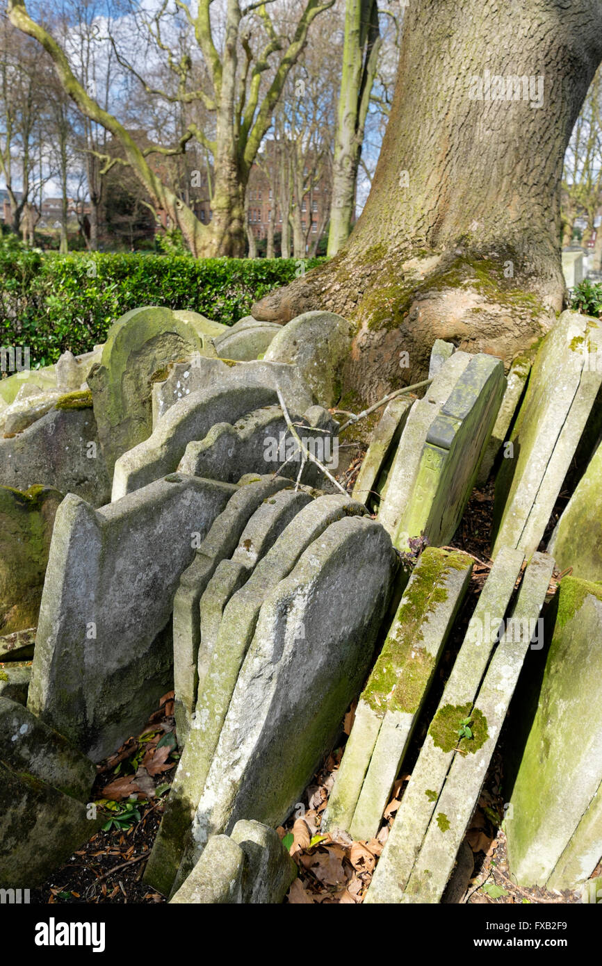 Moss-clad tombstones encircle the Hardy tree, St Pancras Old Church churchyard, London England UK Stock Photo