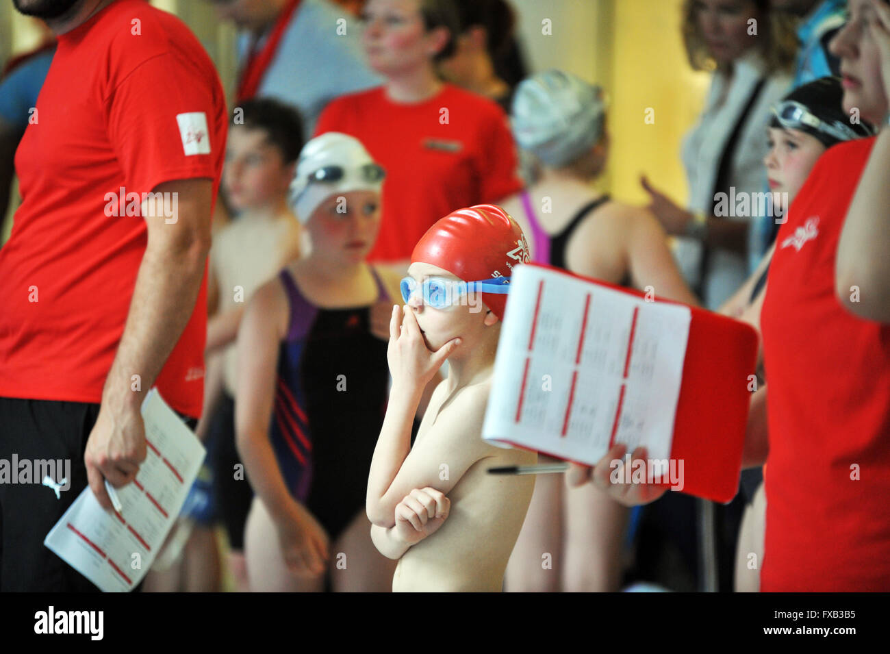 Swimming gala, children wait for the results of races. Stock Photo