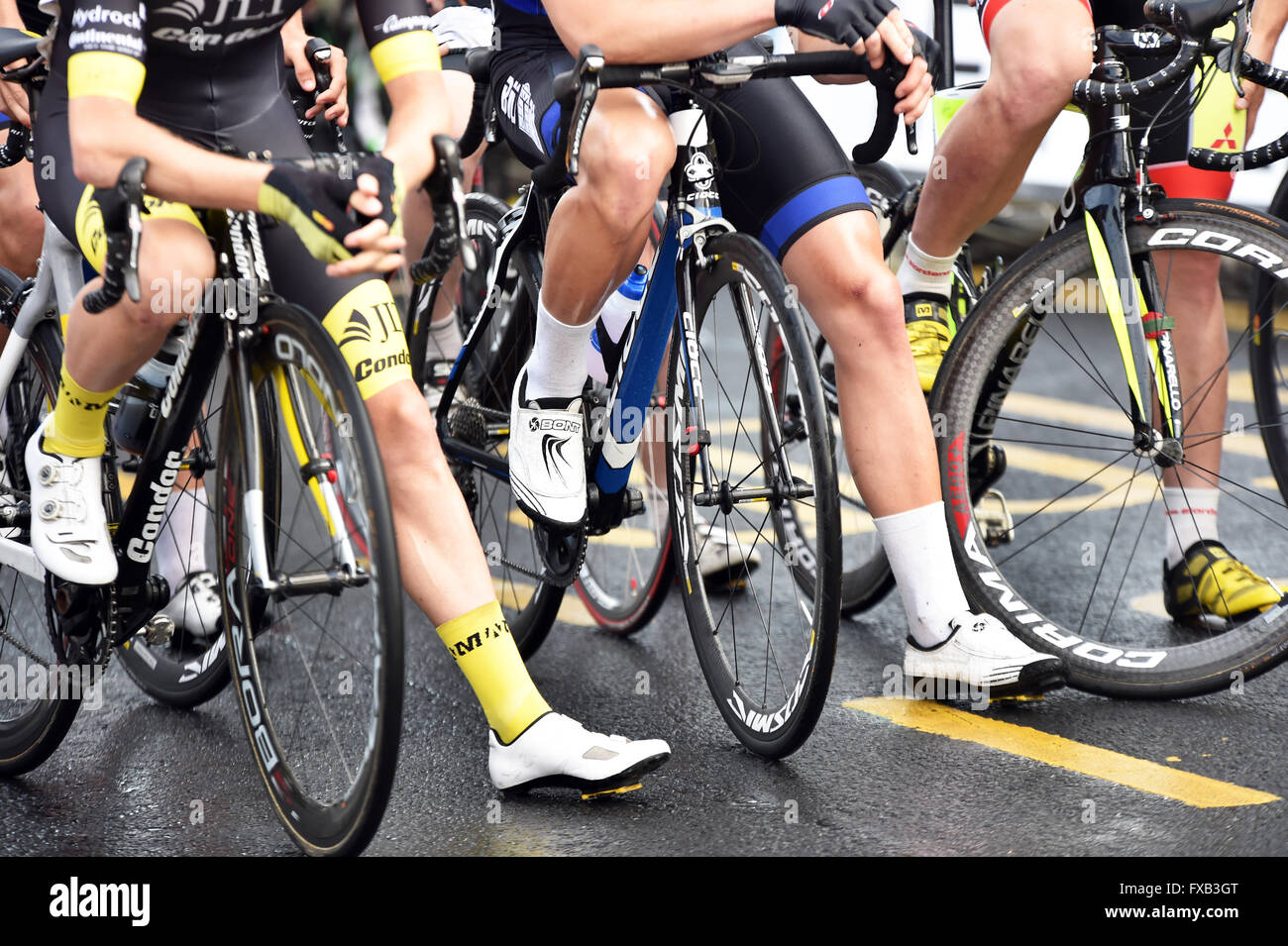 Shiny shaved legs at a road cycling race, Skipton Yorkshire UK Stock Photo