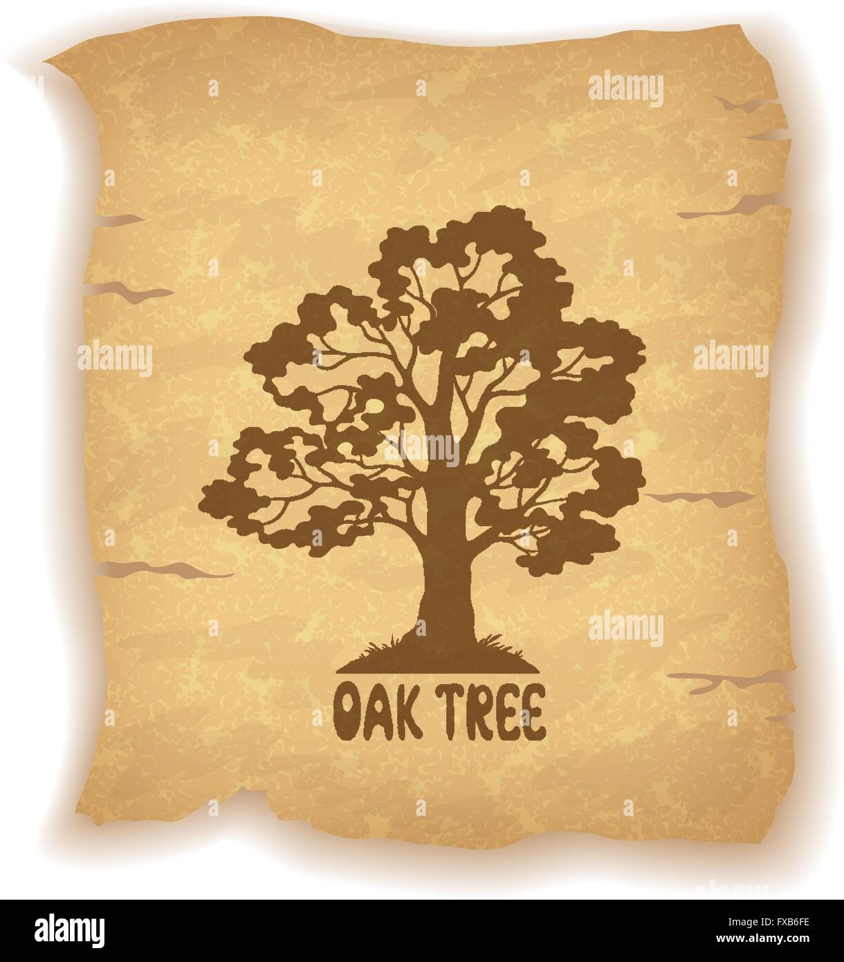 Oak Tree on Old Paper Stock Vector Image & Art Alamy