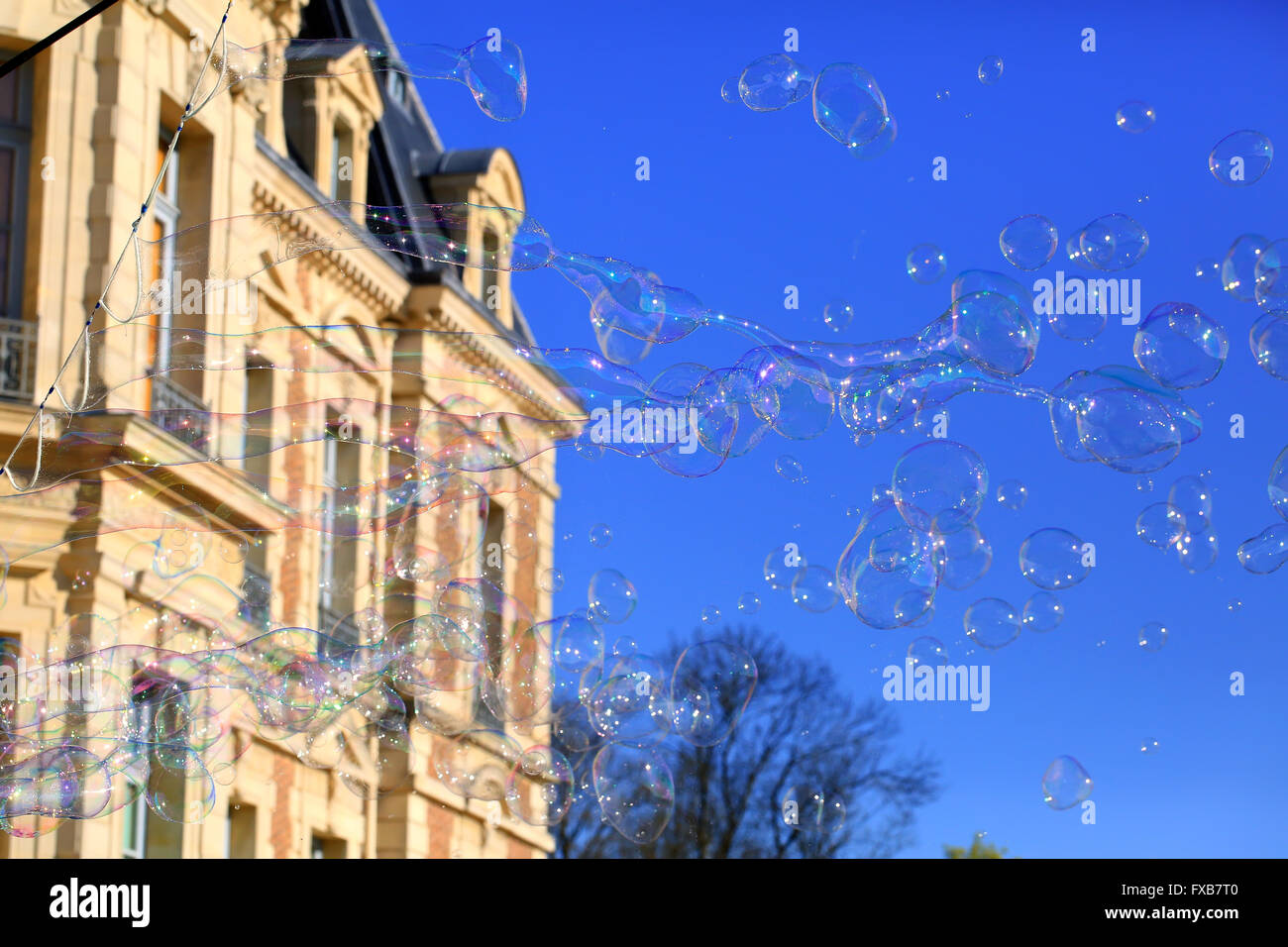 Soap bubbles floating in a blue sky in the city Stock Photo - Alamy