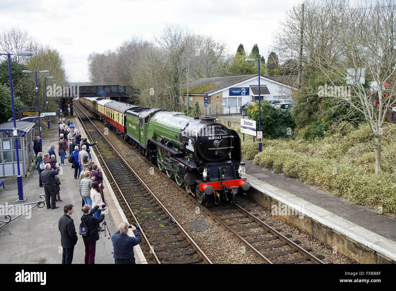 Crowds of Admirers Tornado's Arrival at Shalford, Surrey 1