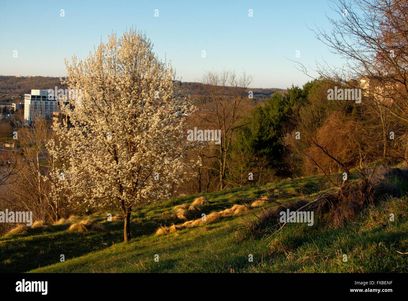 Atop a hillside in Hunt Valley, Maryland Stock Photo Alamy