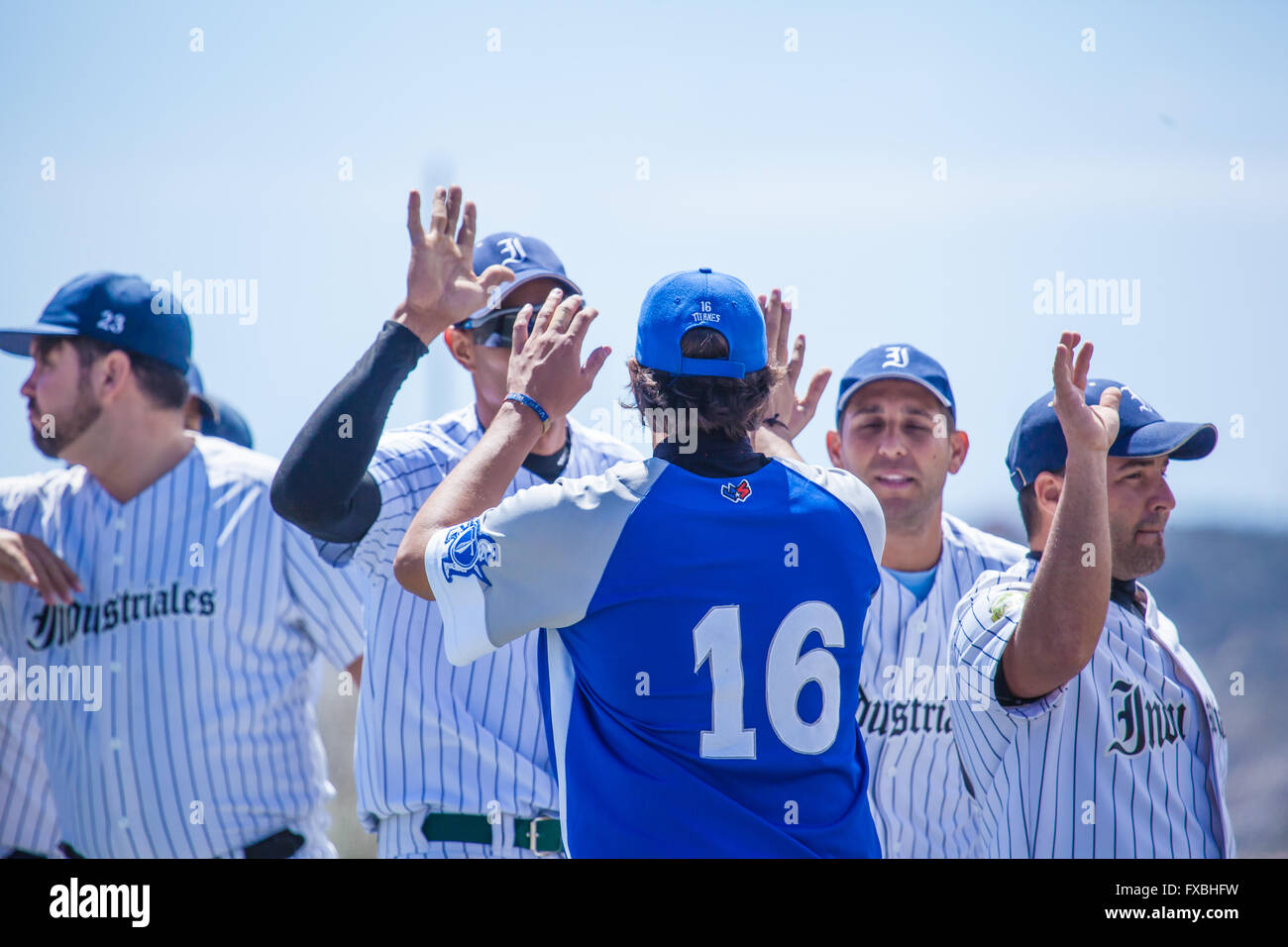male versus male softball match Stock Photo - Alamy