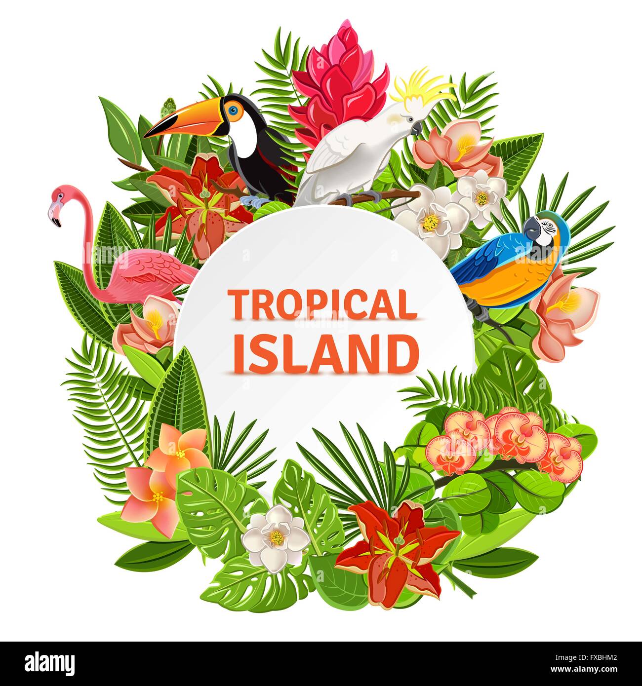 Tropical birs and flowers Stock Vector Image & Art - Alamy