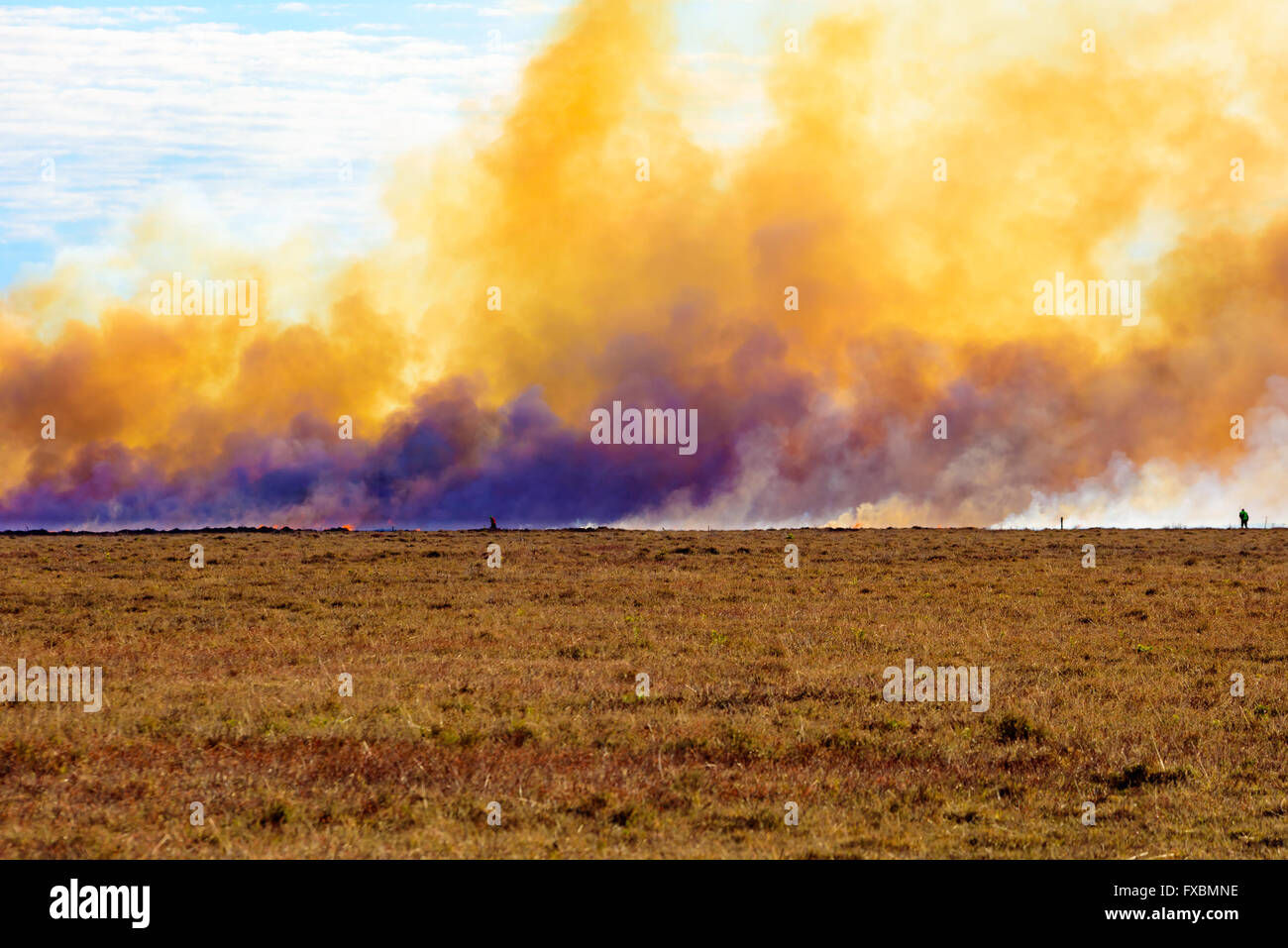The deliberate and controlled burning of heather on a moor. The rising smoke is chokingly dense and yellow, mixed with white wat Stock Photo