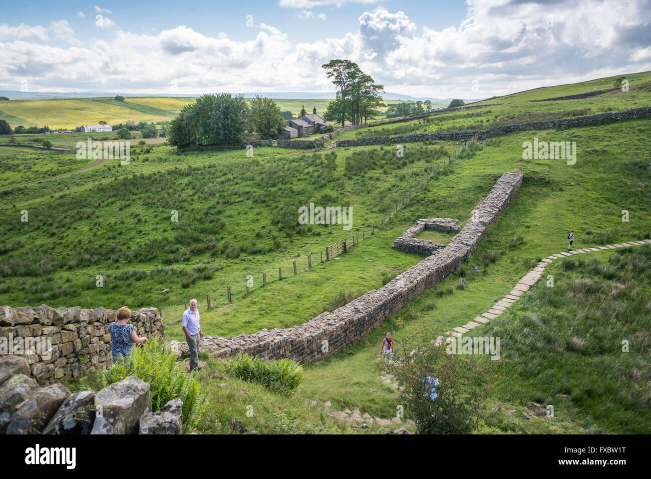 Part of Hadrian's Wall not far from the Once Brewed visitor's centre Stock Photo