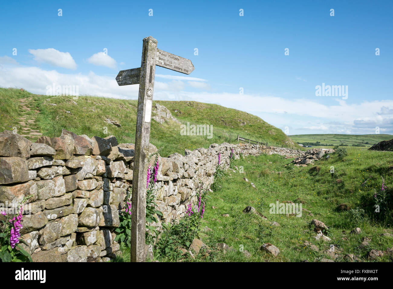 Sign posts along Hadrian's Wall, Northumberland Stock Photo