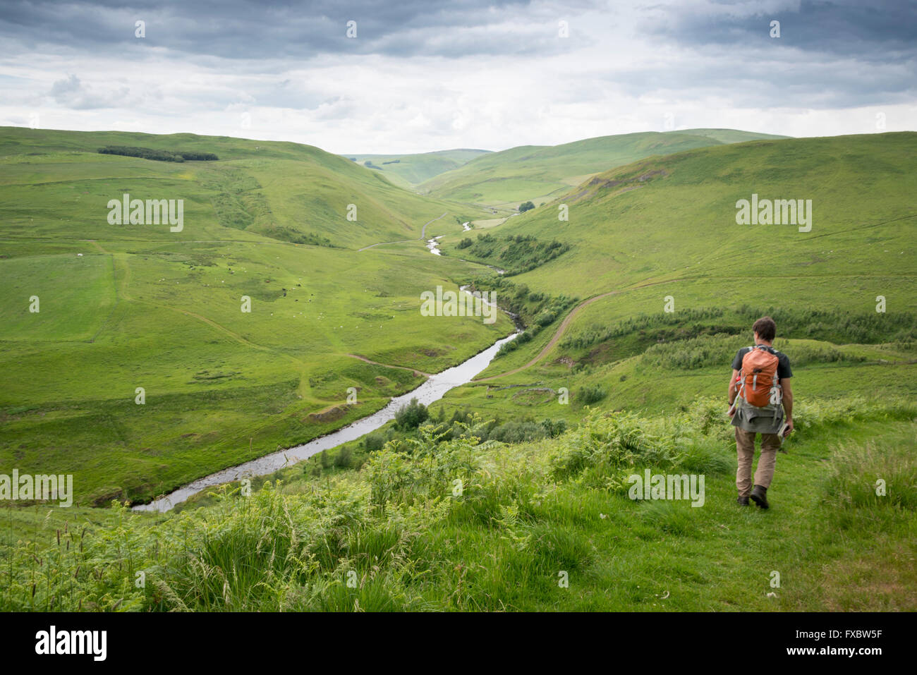 Walking in the Coquet Valley, Northumberland Stock Photo