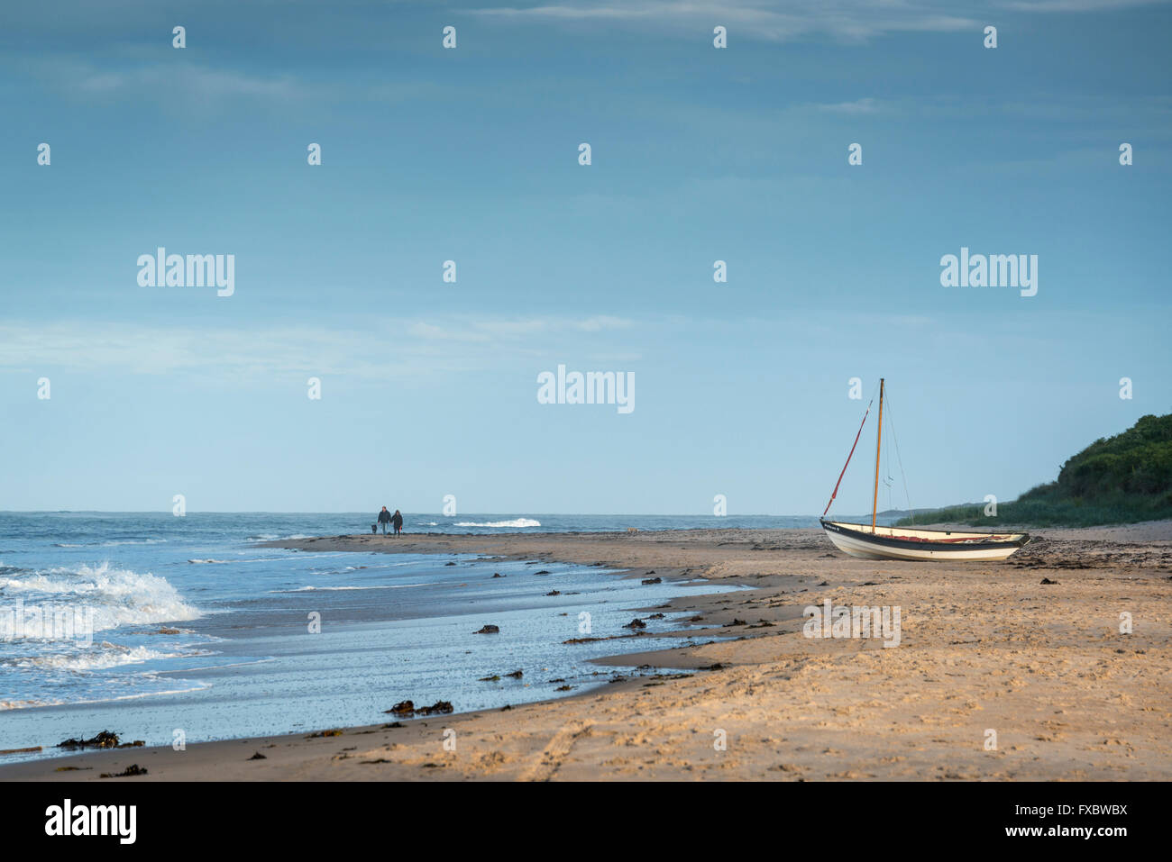 The beach at Newton by the Sea, Northumberland Stock Photo Alamy