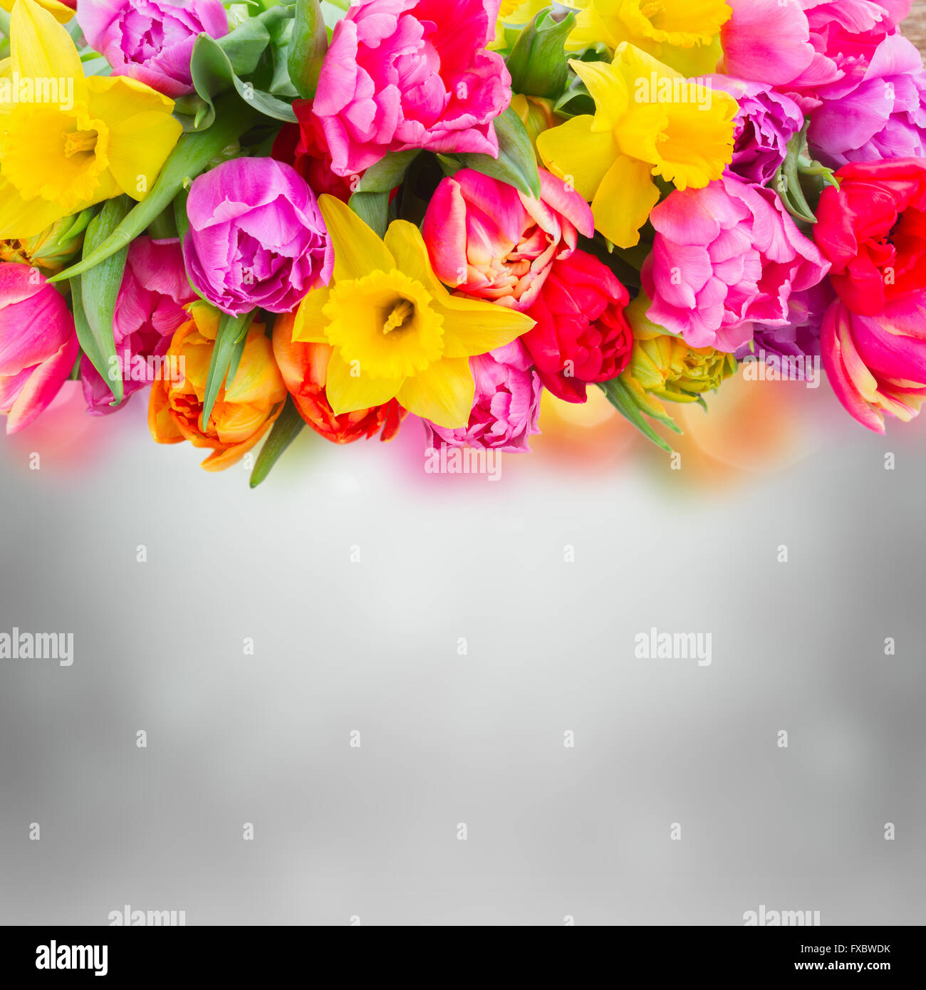 bouquet of tulips and daffodils Stock Photo - Alamy