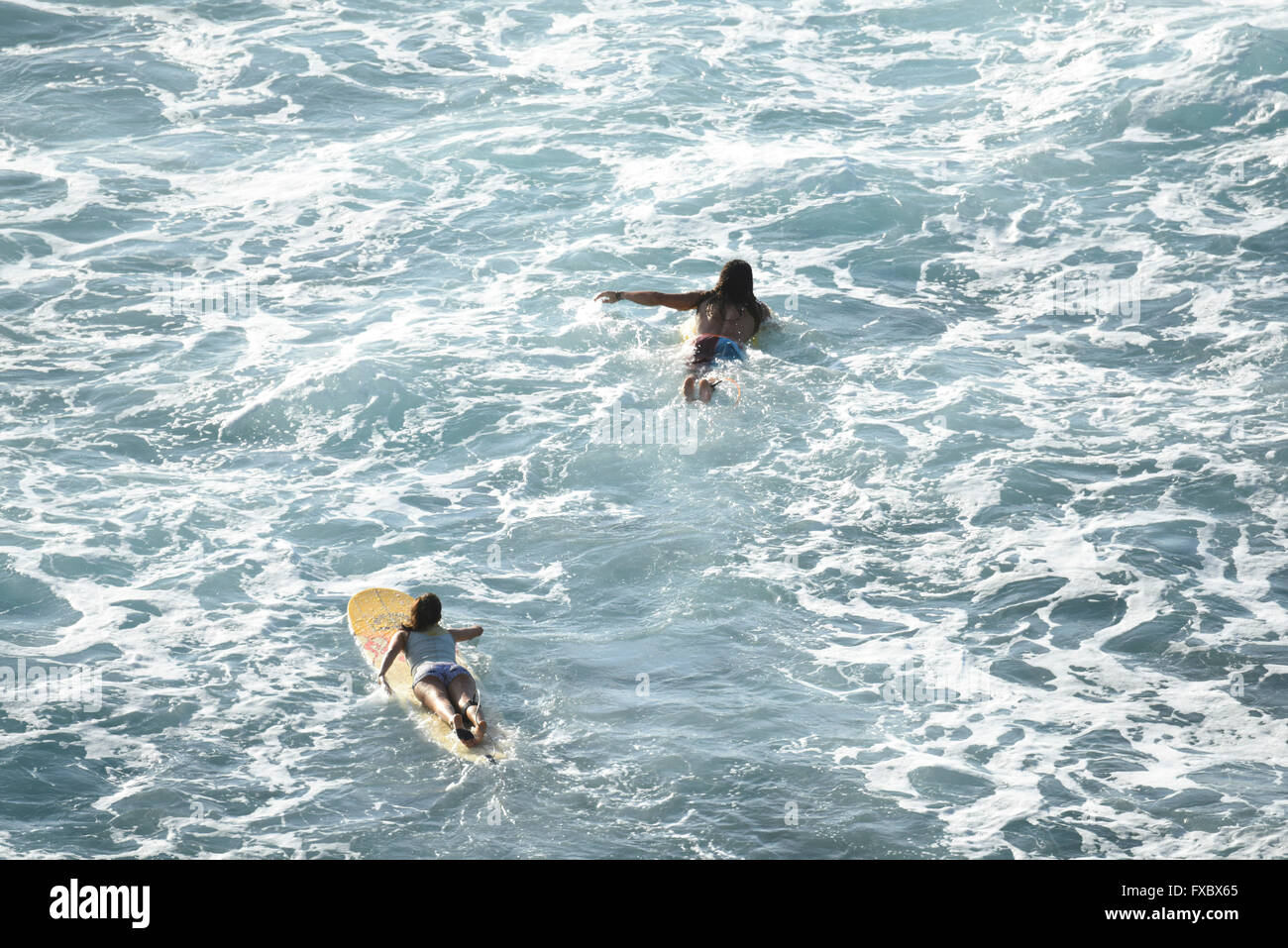 surfers swim
