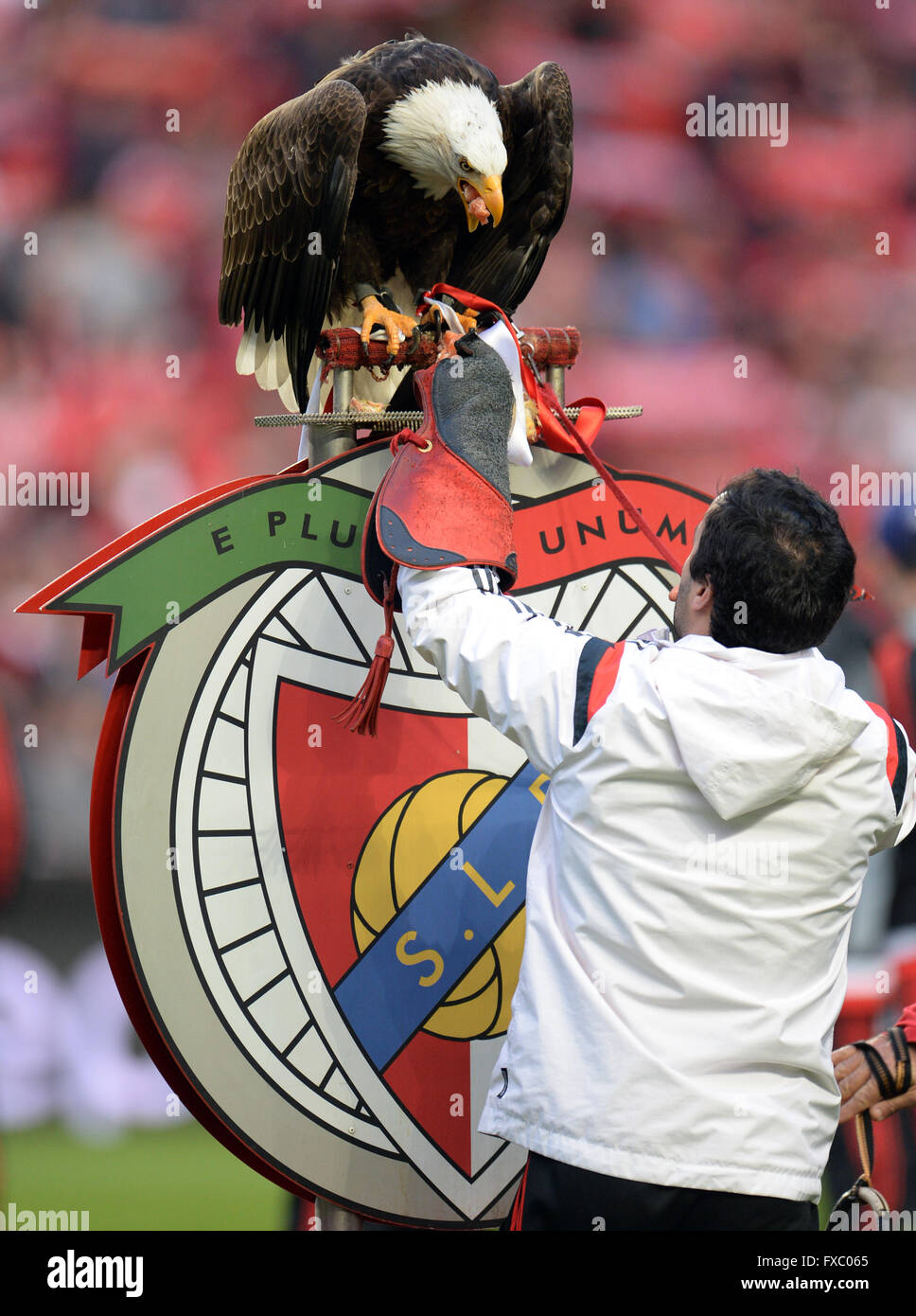 Benfica - Eagles, Estádio De Futebol, Jogo De Futebol, Esportes