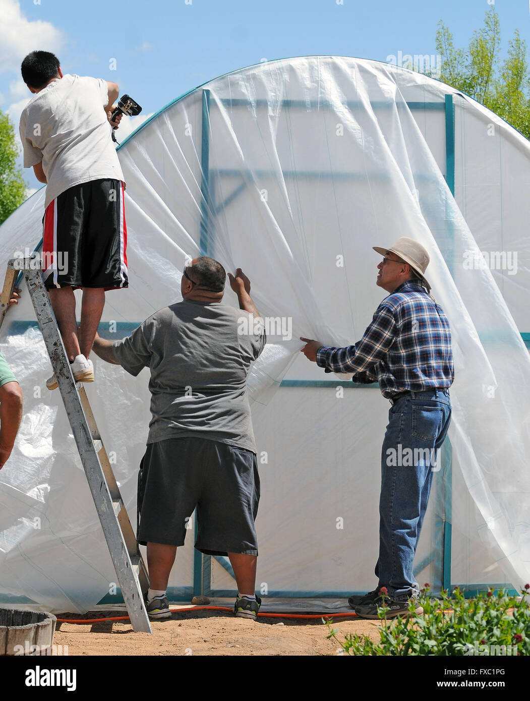 Albuquerque, NM, USA. 13th Apr, 2016. right to left-Youth Services Center staff members Walter Lujan(with hat) and Marco Ortega pull the plastic taunt as a youth client secures the strapping that holds the plastic to the hoops of the garden Greenhouse. This is the second hoop garden that is being built at the Bernalillo County Youth Services Center. Wednesday, April. 13, 2016. © Jim Thompson/Albuquerque Journal/ZUMA Wire/Alamy Live News Stock Photo