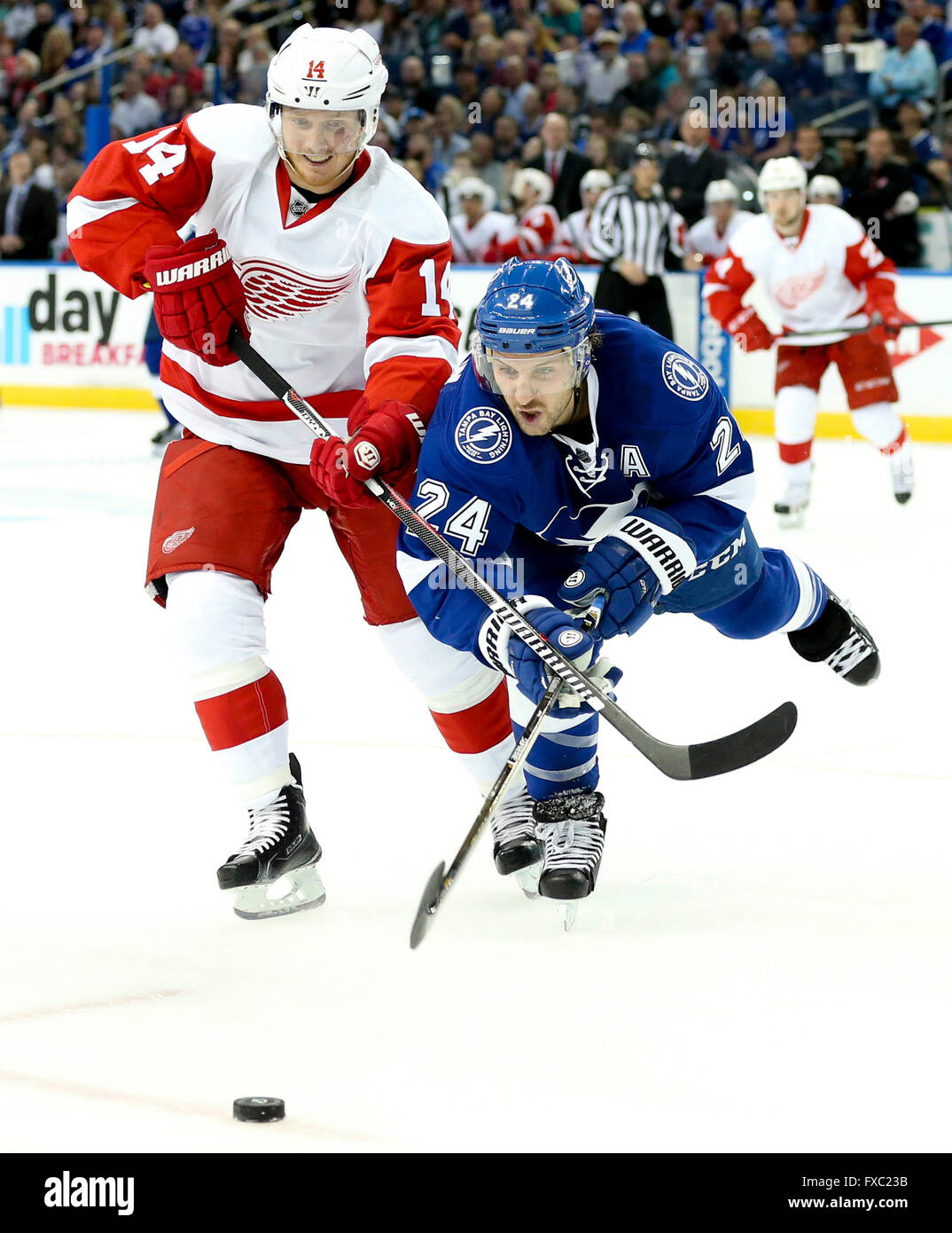 Tampa, Florida, USA. 13th Apr, 2016. Tampa Bay Lightning right wing