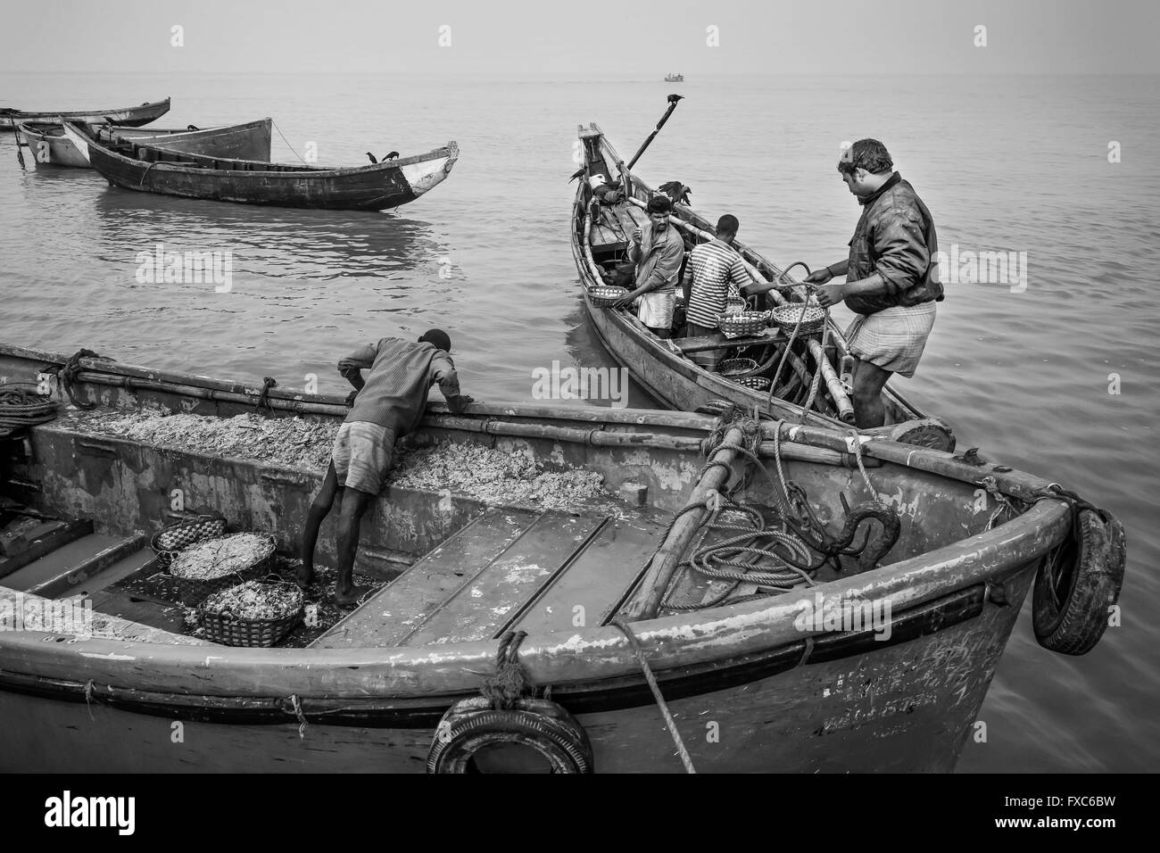 Fishermen collecting near the shibreaking yards of Chittagong in Bangladesh their freshly caught crabs. Every morning fishermen in Chittagong go with their boats to contaminated fishing spots in the middle of one of the largest shipbreaking places the world. Stock Photo