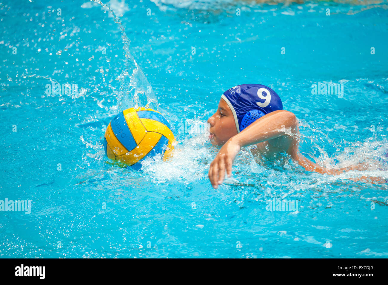 male water polo match Stock Photo Alamy