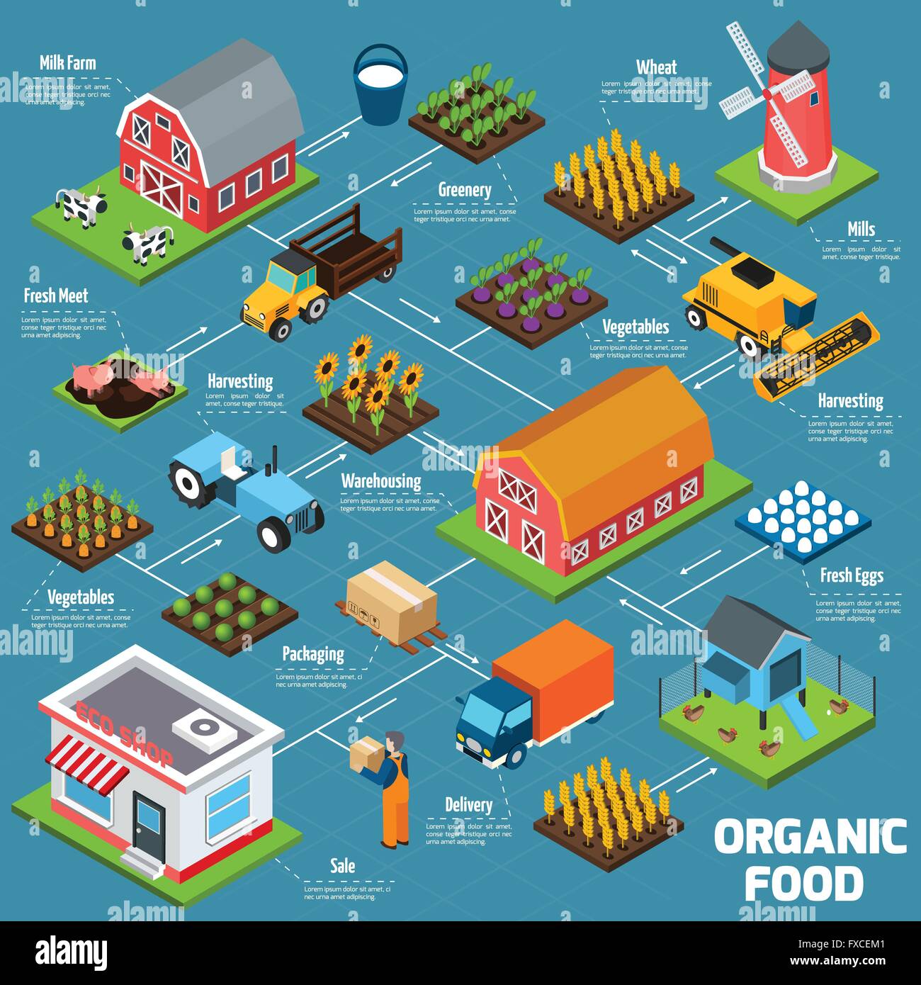 Organic food isometric flowchart Stock Vector Image & Art - Alamy