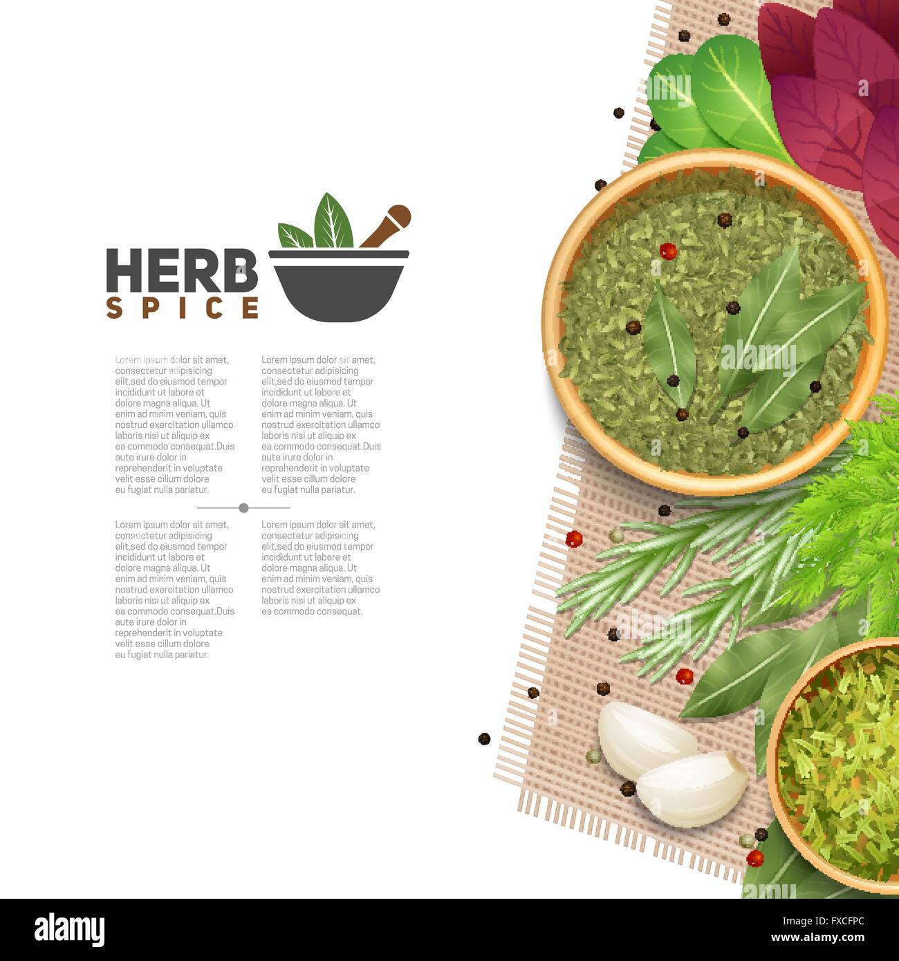 Herbs Spices Food Seasoning Information POster Stock Vector Image & Art