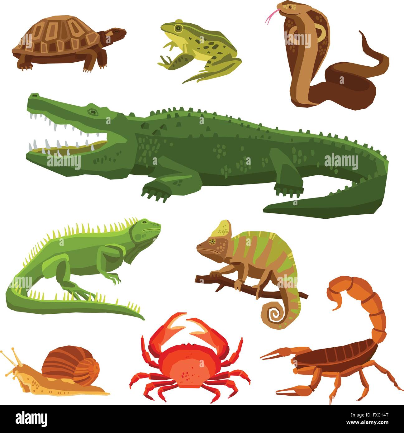 Amphibians And Reptiles Clip Art