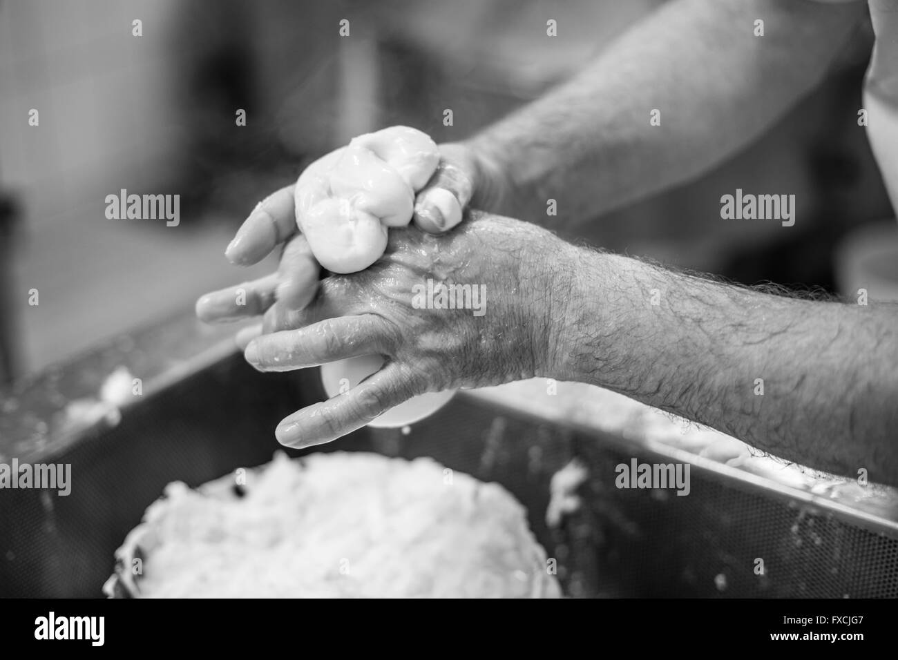 Production of Mozzarella cheese Stock Photo