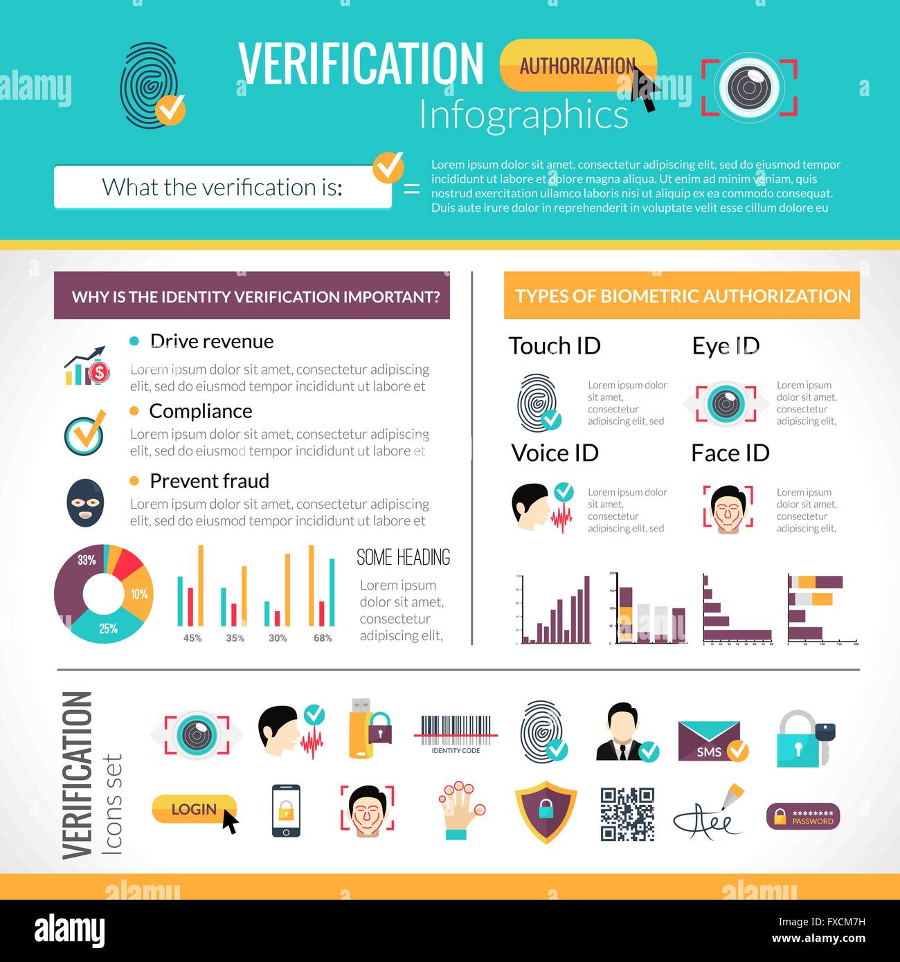 Verification Infographics Set Stock Vector Image & Art - Alamy