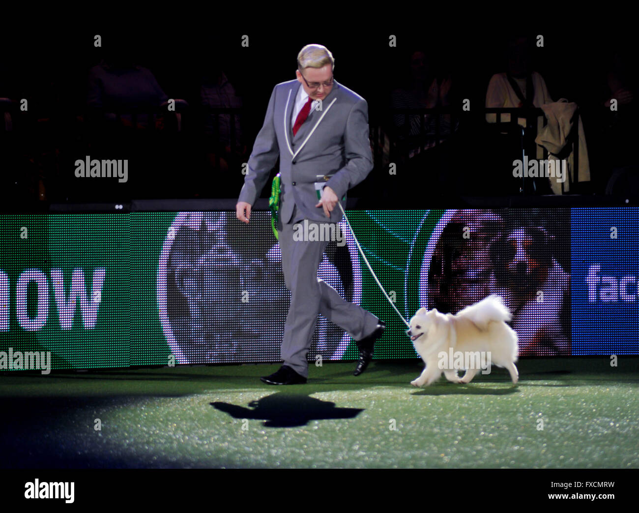 Crufts day 4 sales