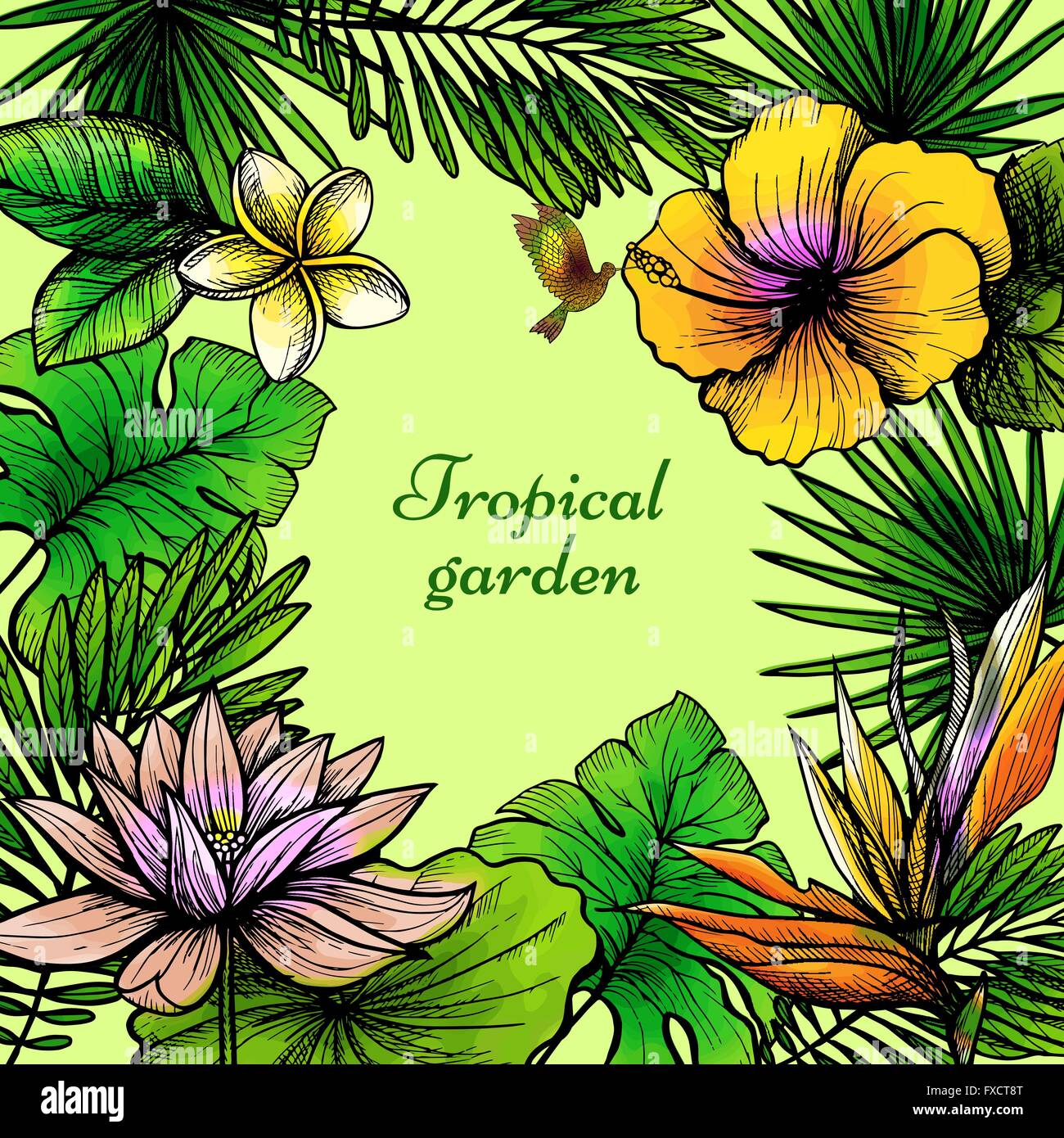 Tropical Leaves Frame Stock Vector Image & Art - Alamy