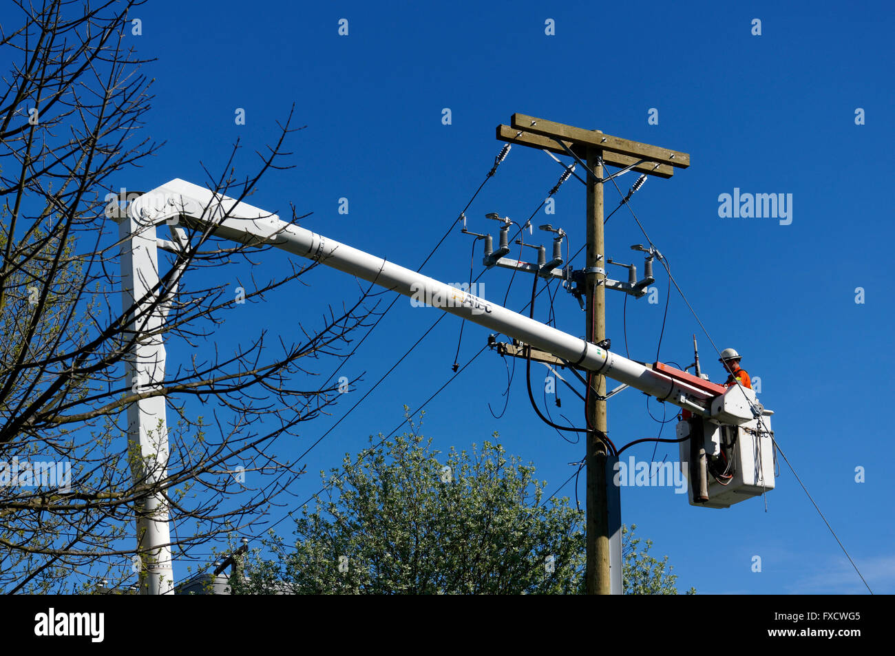 Worker doing electrical repairs from the bucket of a cheery picker in Vancouver, BC, Canada Stock Photo