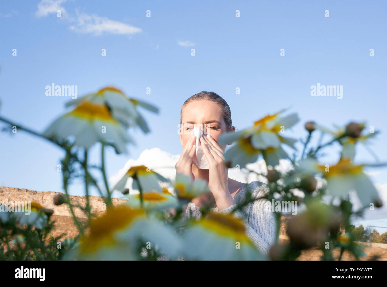 Young woman sneezing in a daisy flowers meadow. She is allergic to