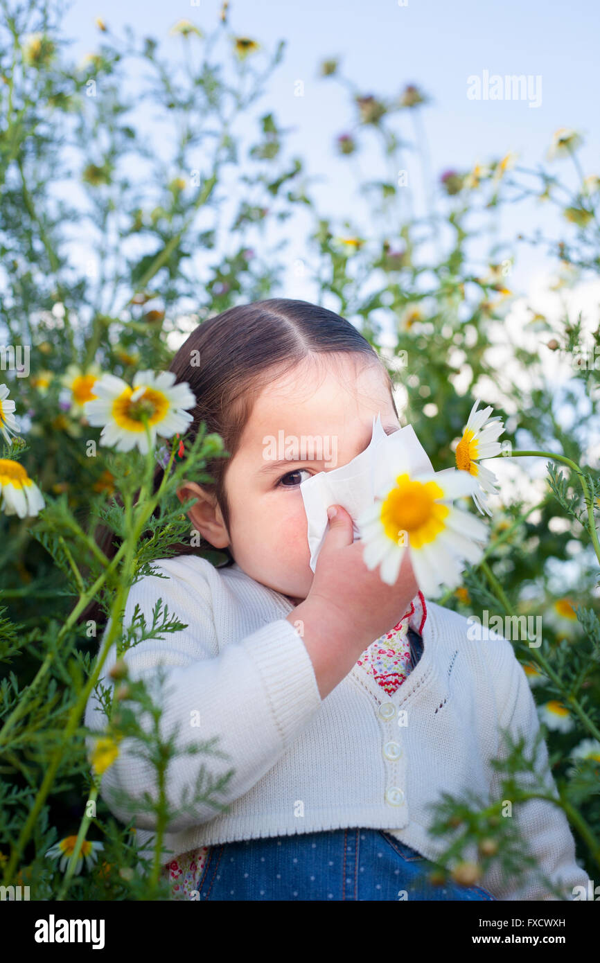 4 year old toddler girl sneezing in a daisy meadow. She is allergic to flowers Stock Photo