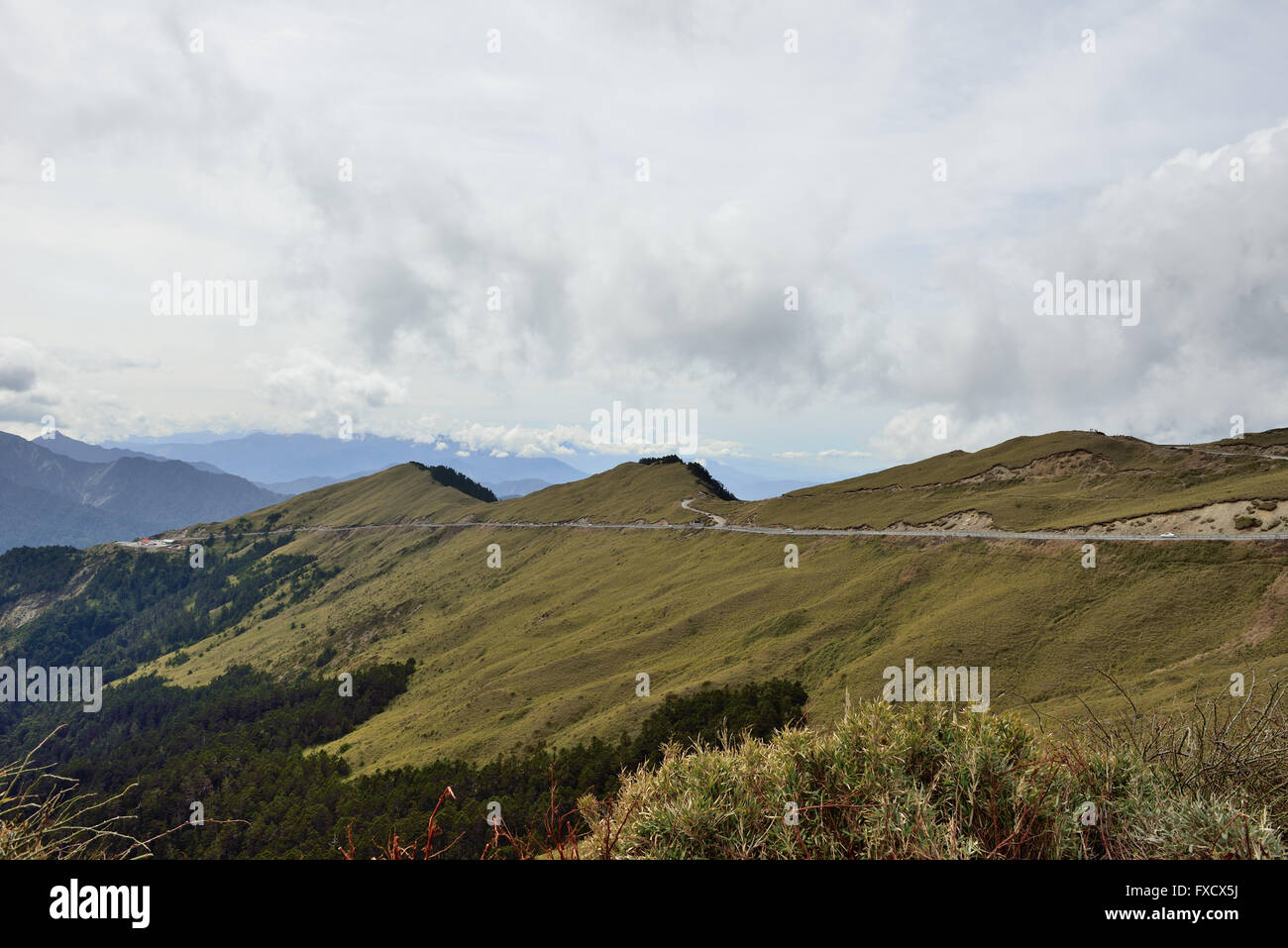 record our life Stock Photo - Alamy
