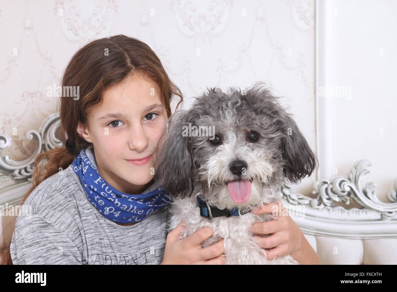 girl and Bolonka zwetna Stock Photo