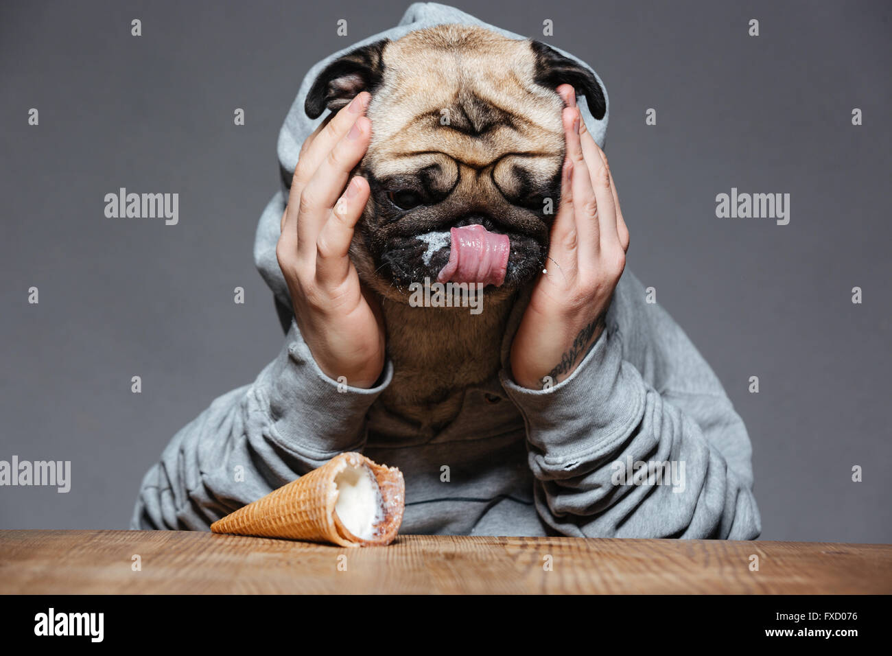 Sad upset man with pug dog head droped down ice-cream on the table over grey background Stock Photo