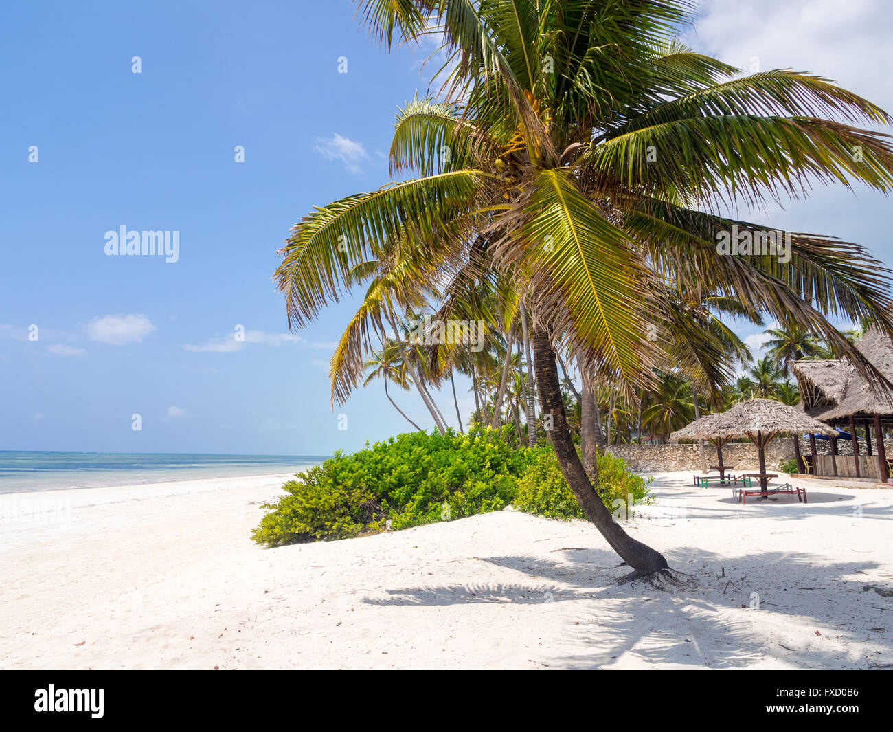 Beach in Paje, Zanzibar, Tanzania. Stock Photo