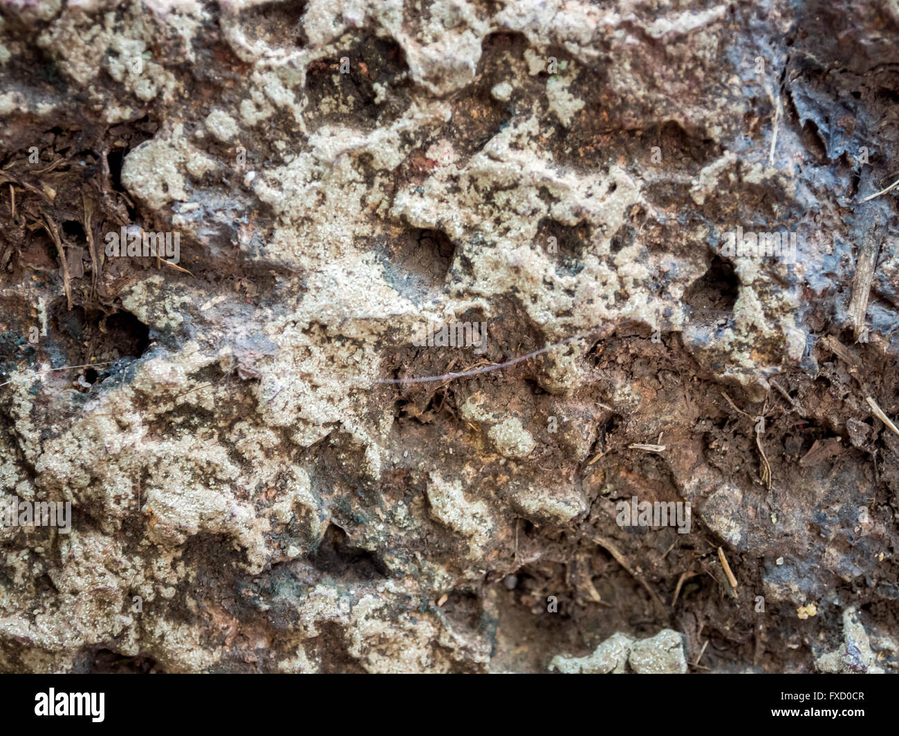 Rough feel hi-res stock photography and images - Alamy