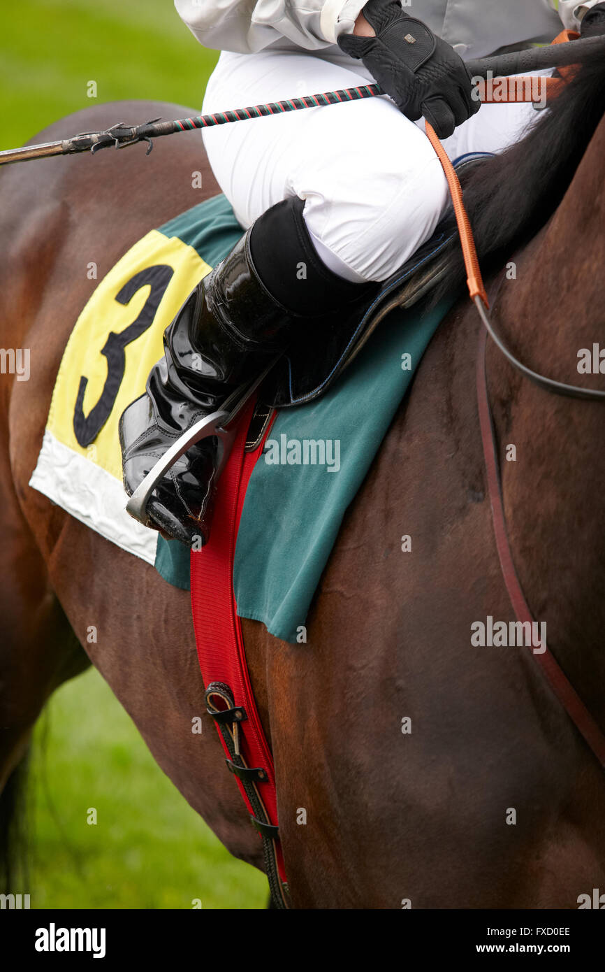 Race horse and jockey ready to run. Vertical format Stock Photo