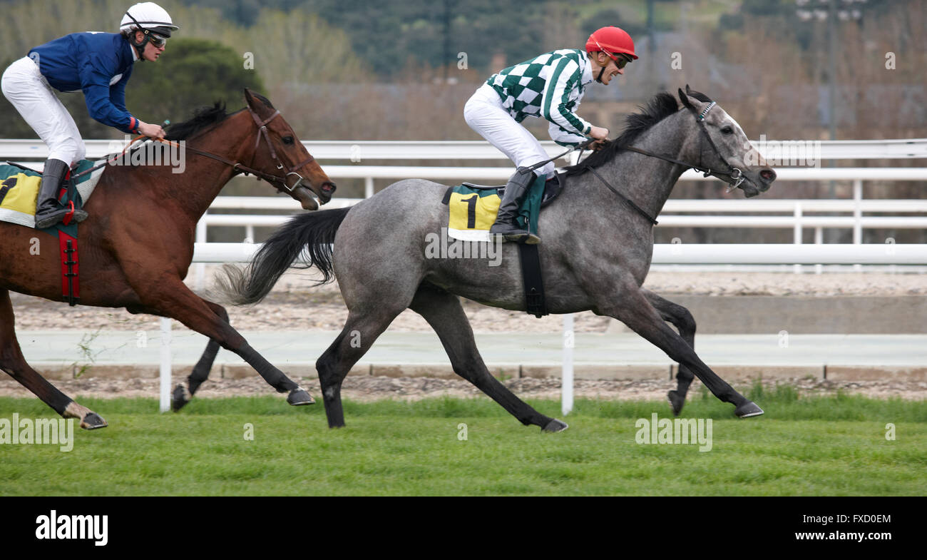 Race horses and jockeys running in the track. Horizontal format Stock ...