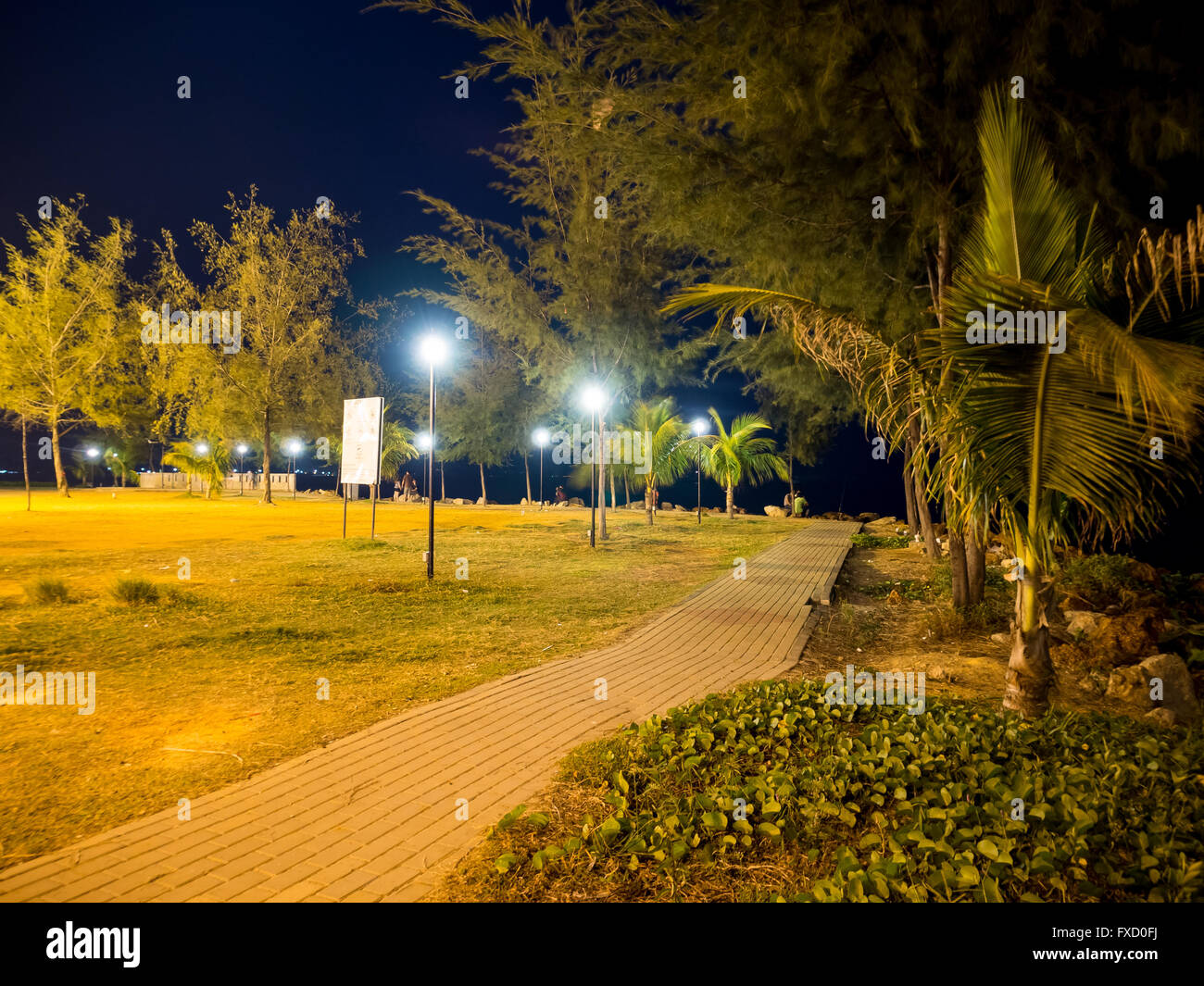 A park at night Stock Photo - Alamy