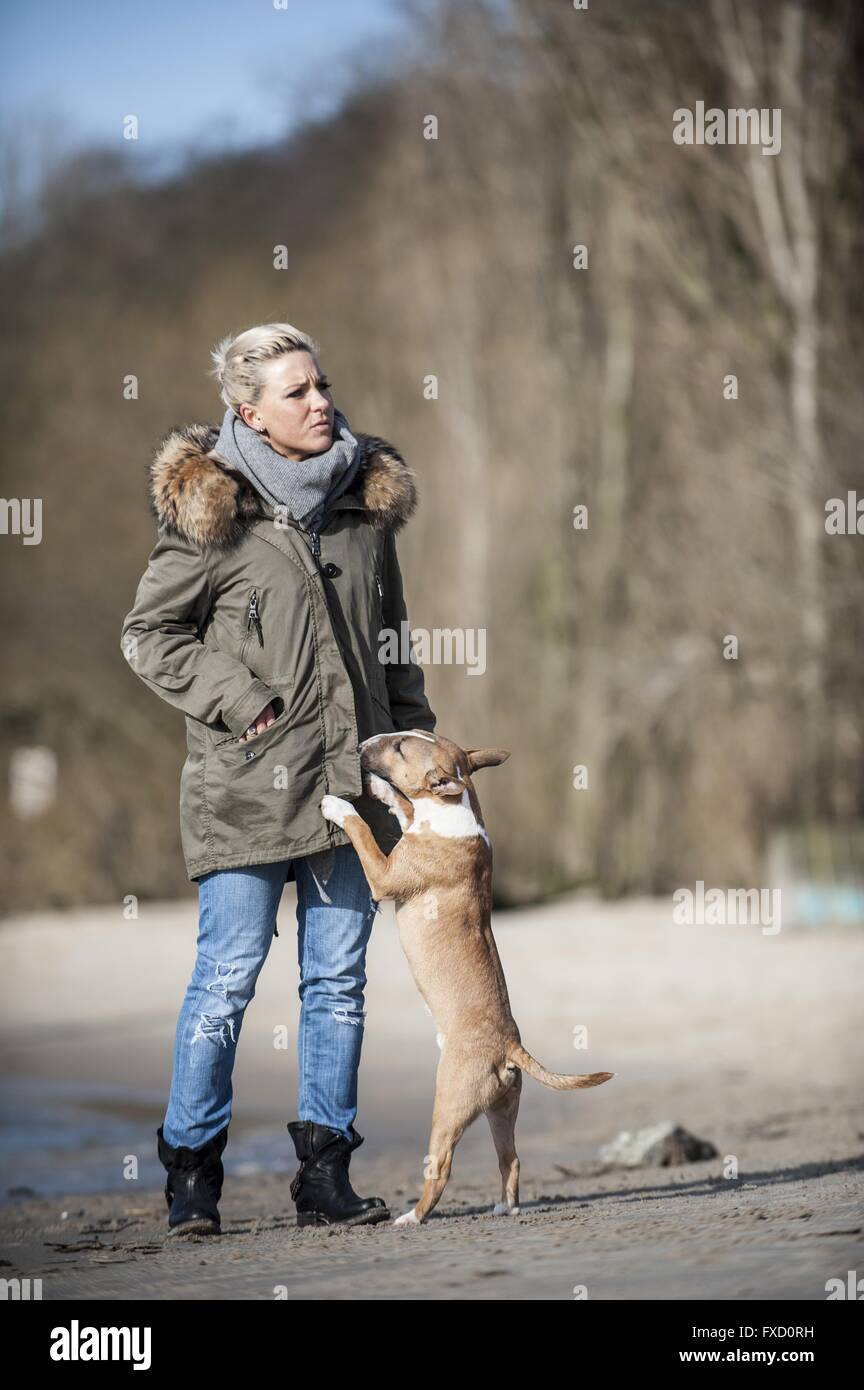Woman with Miniature Bull Terrier Stock Photo - Alamy