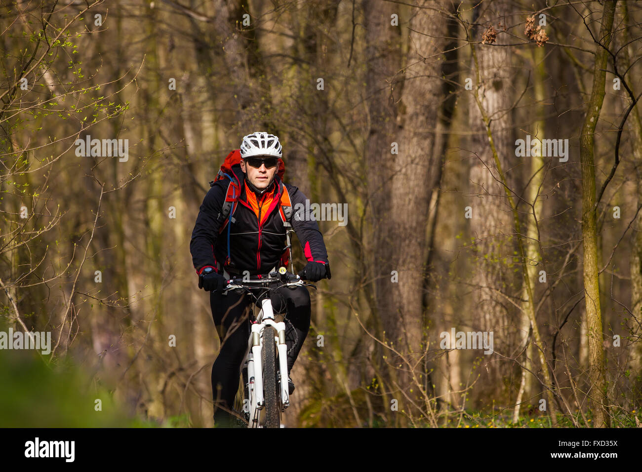 Single Track Riding Mountain Bike cyclist riding single track Stock Photo - Alamy