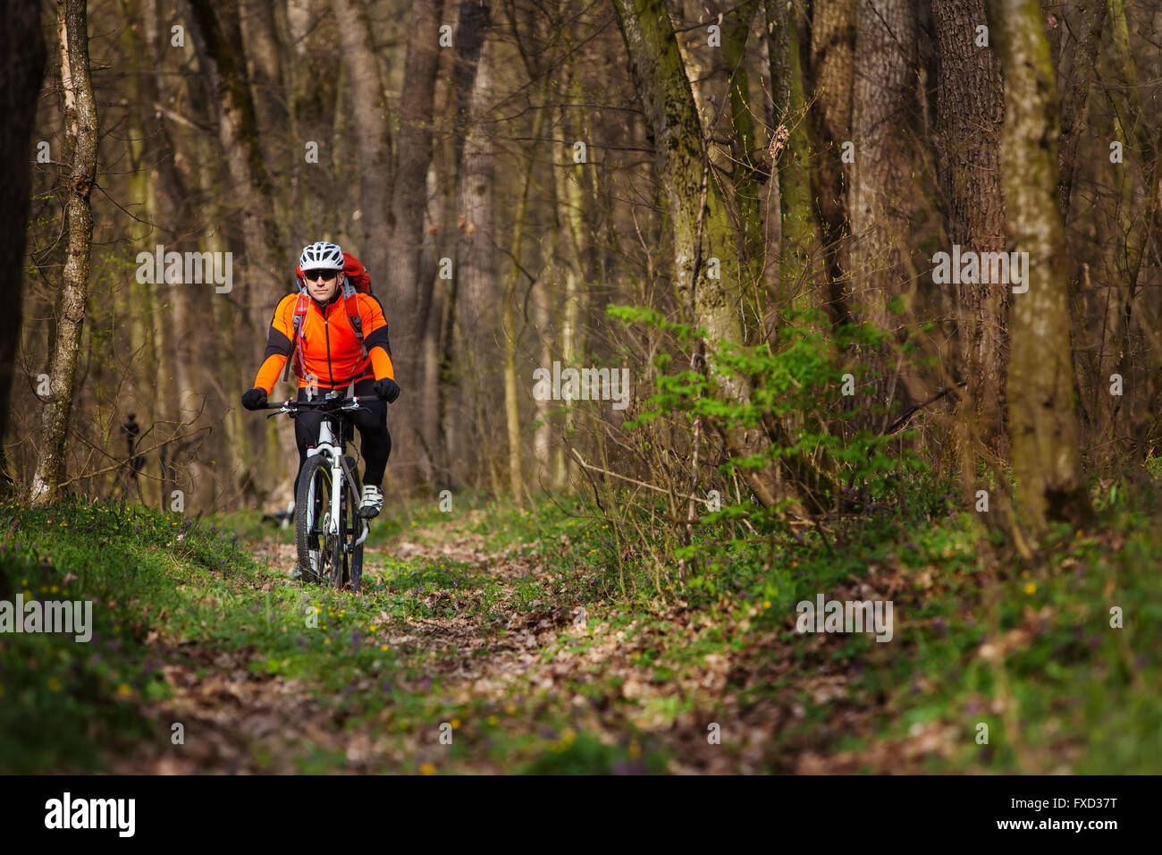 Single Track Riding Mountain Bike cyclist riding single track Stock Photo - Alamy