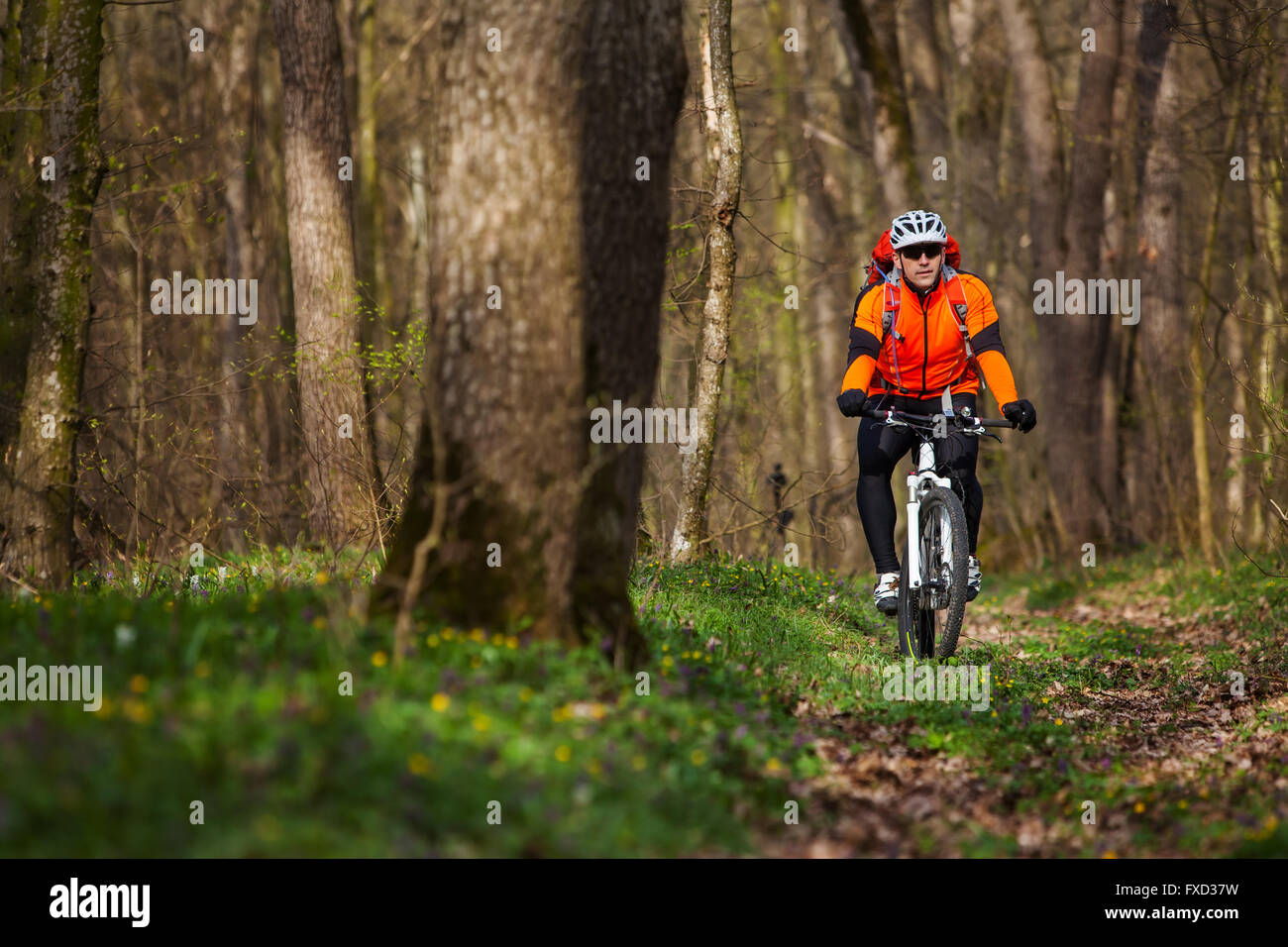 Single Track Riding Riding on a single track hi-res stock photography and images - Alamy