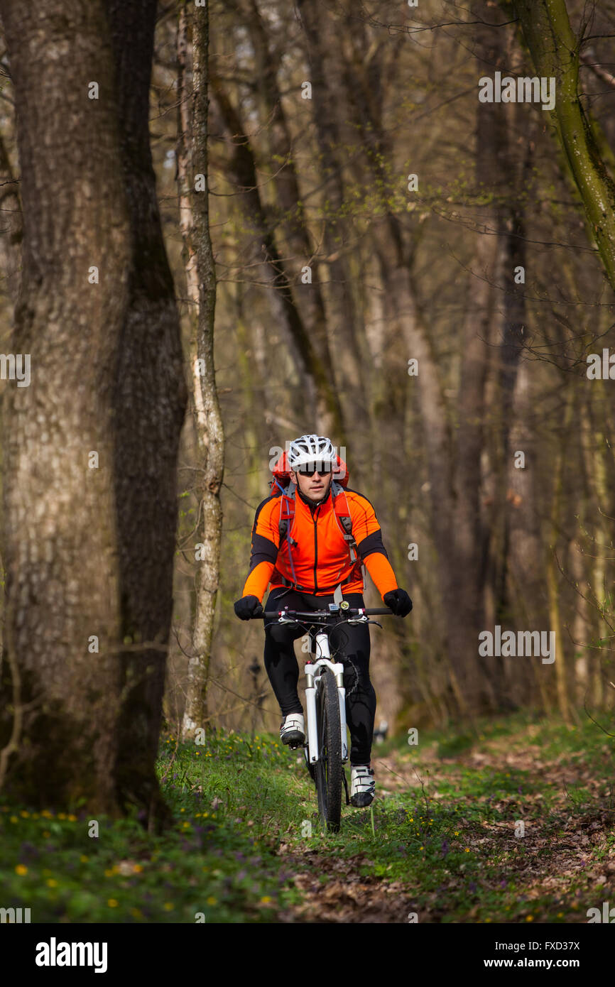 Single Track Riding Mountain Bike cyclist riding single track Stock Photo - Alamy