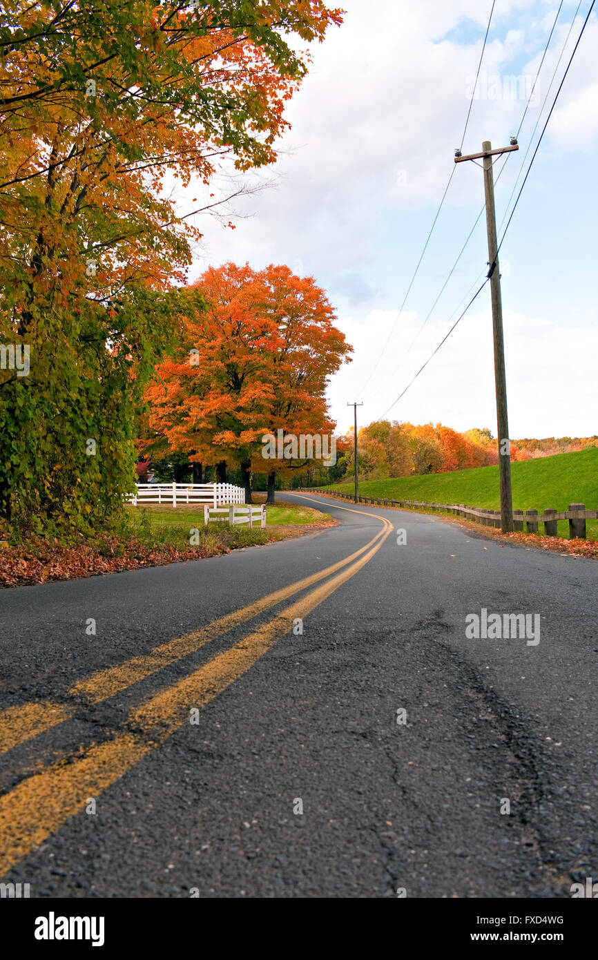 Vibrant Fall Foliage Road Stock Photo