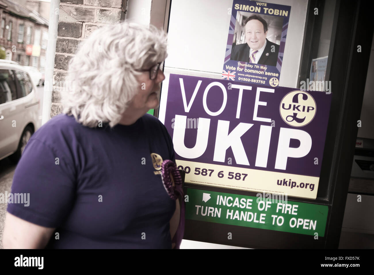 local UKIP party volunteers stand outside the offices of Waveney UKIP ready for Election day Stock Photo