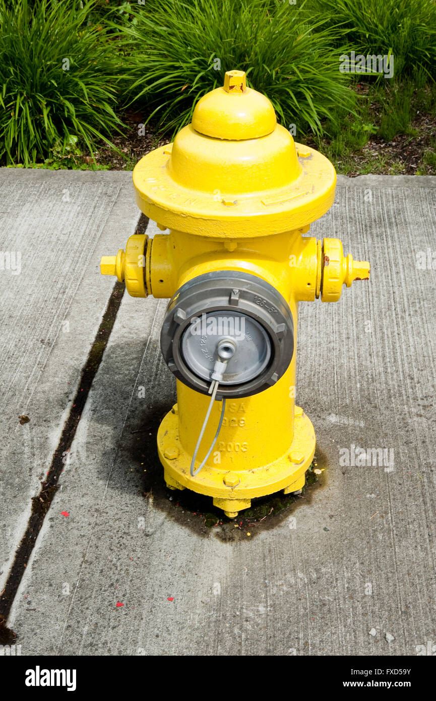 Yellow fire hydrant Stock Photo