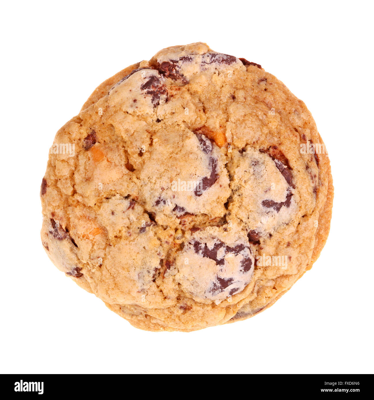 Single freshly baked, homemade chocolate and butterscotch chip oatmeal cookie isolated against a white background Stock Photo