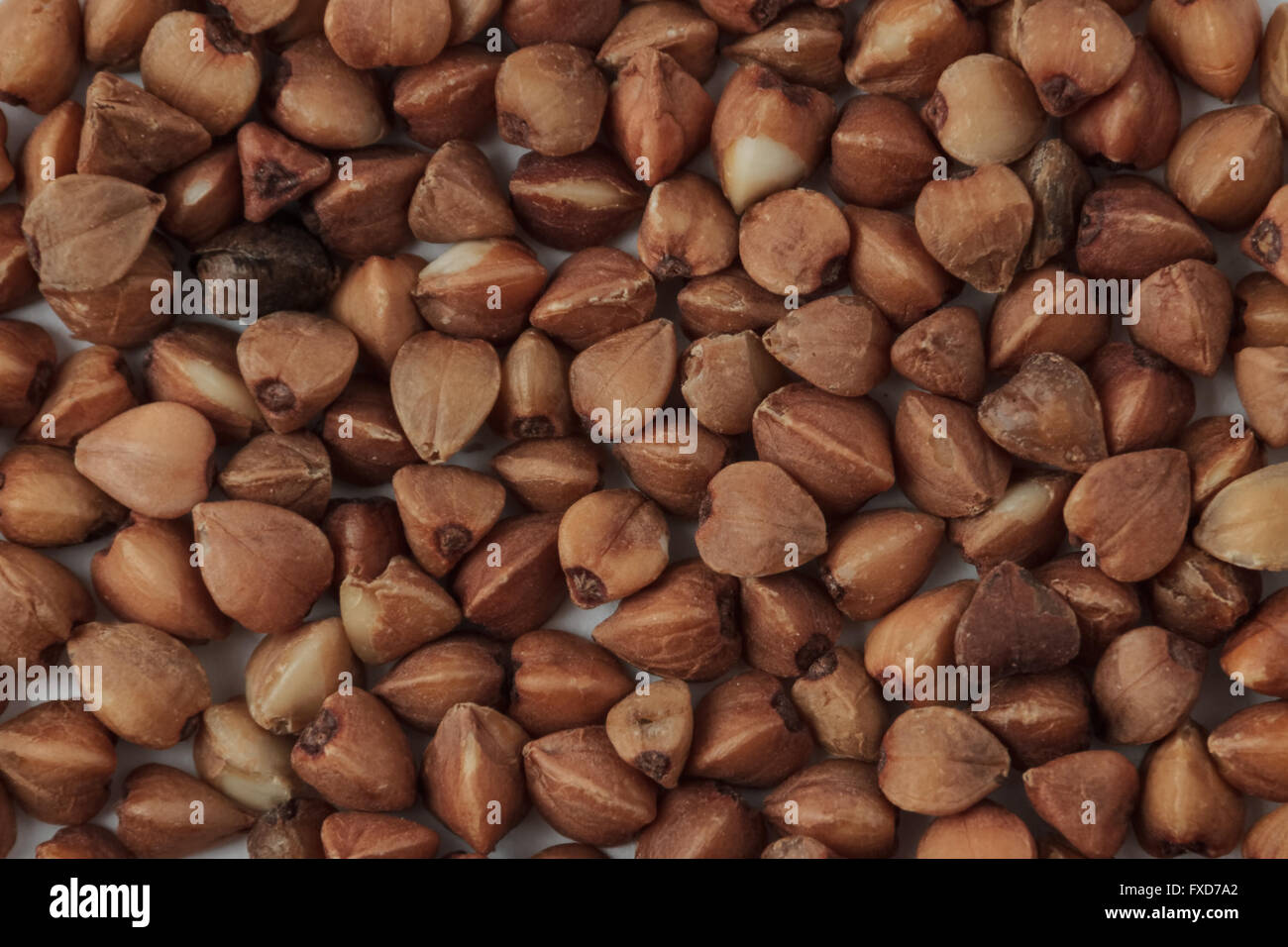 Buckwheat Seeds High Resolution Stock Photography and Images Alamy