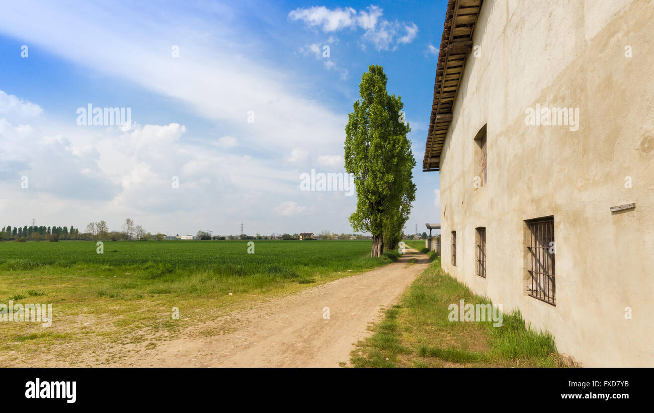 Country road and fields on the background of the blue Stock Photo
